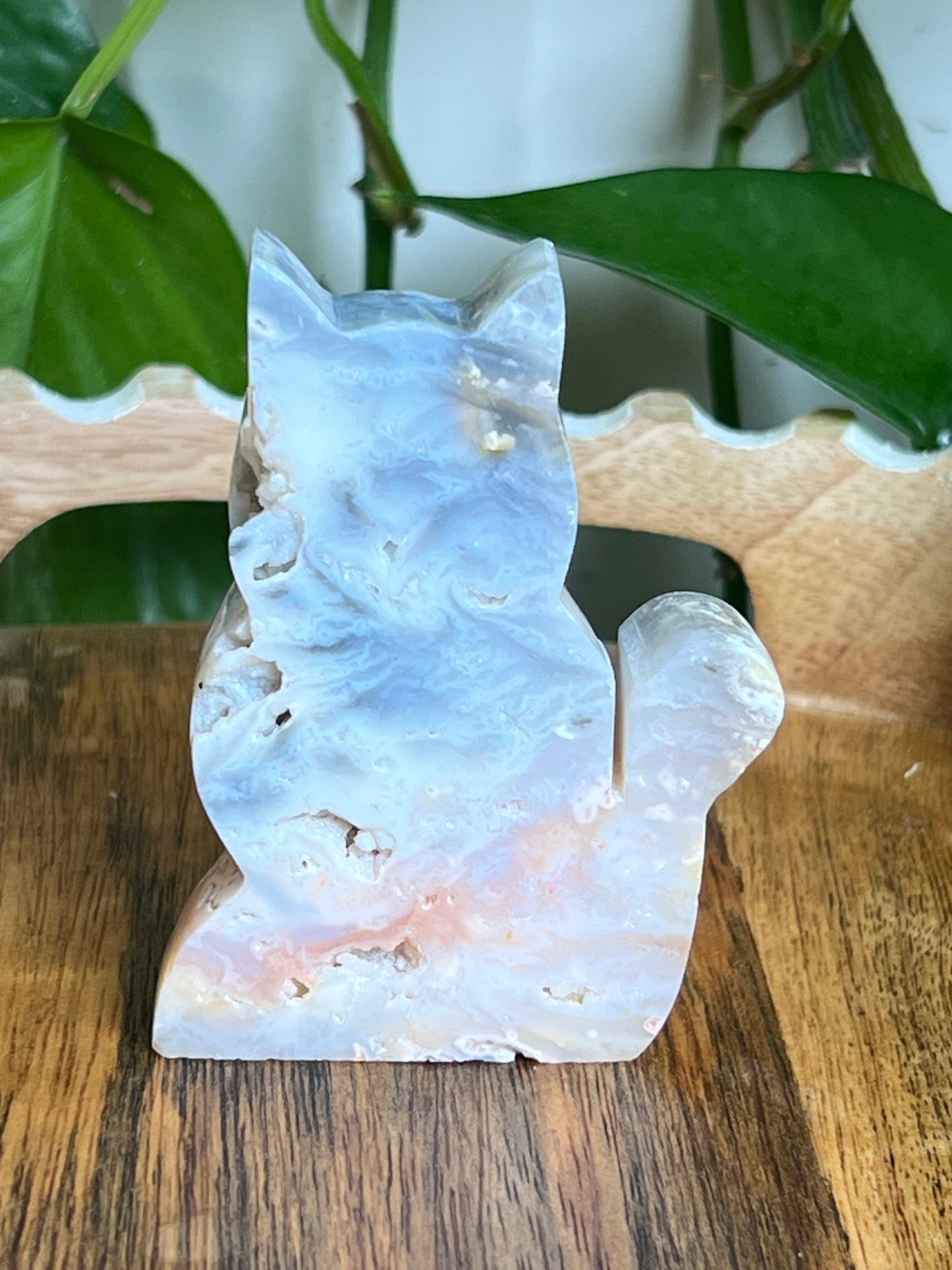 Rainbow Plume Agate Cat NH