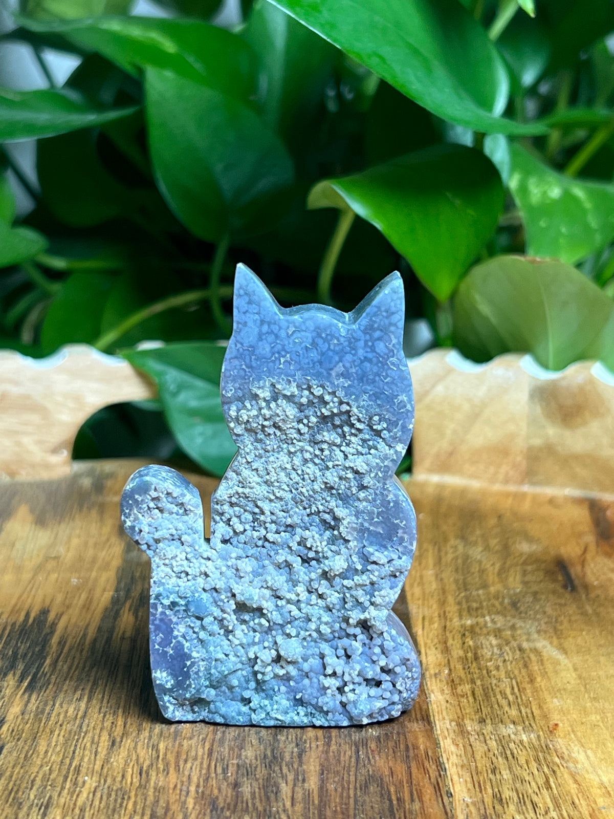 Grape Agate Cat: KD