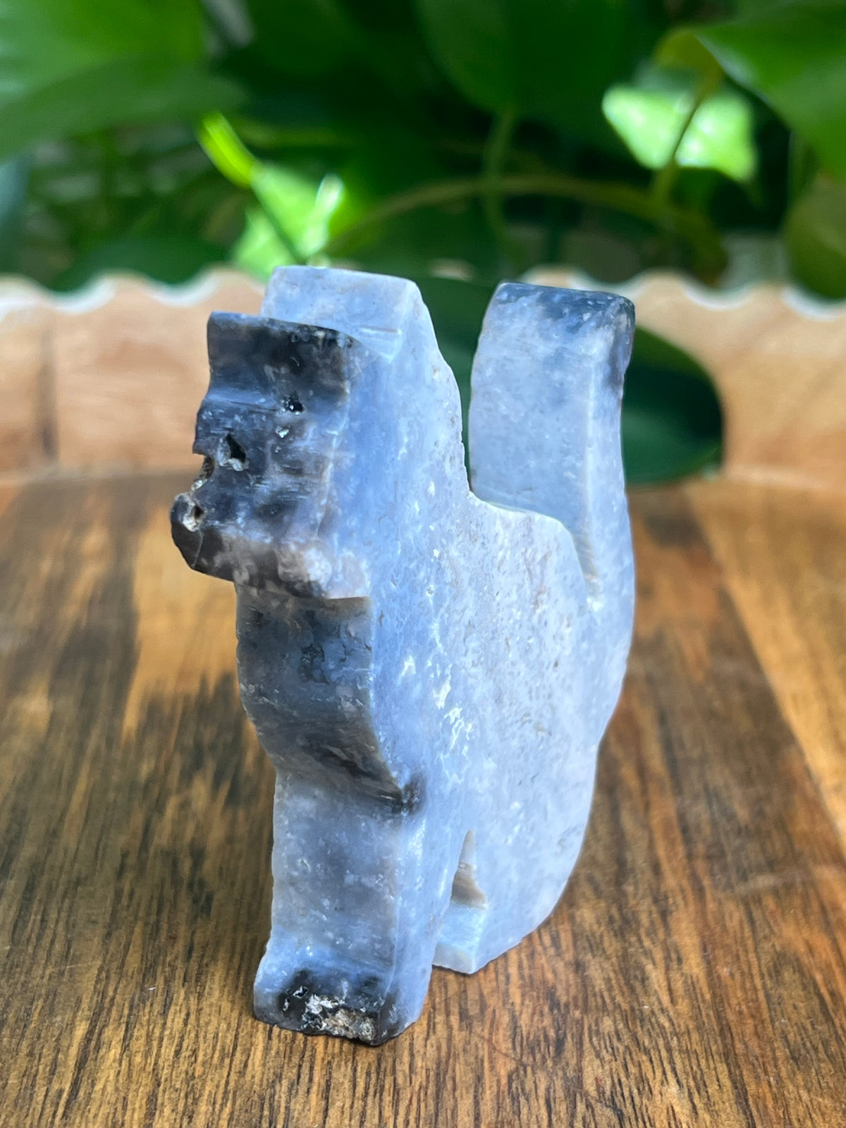 Blue Plume Agate Cat: AB