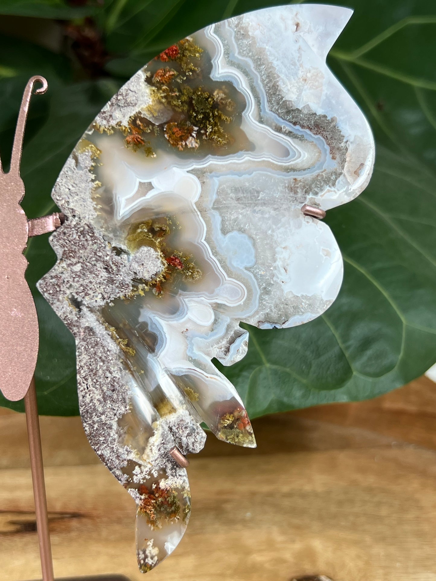 Scenic moss agate wings