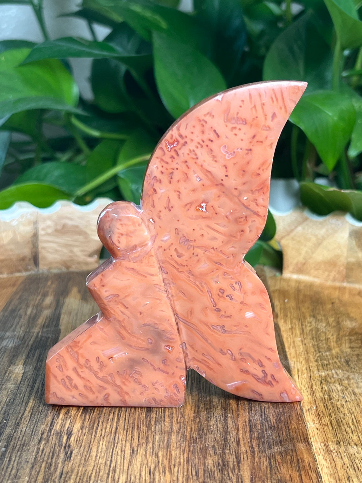 Carnelian Fairy: D