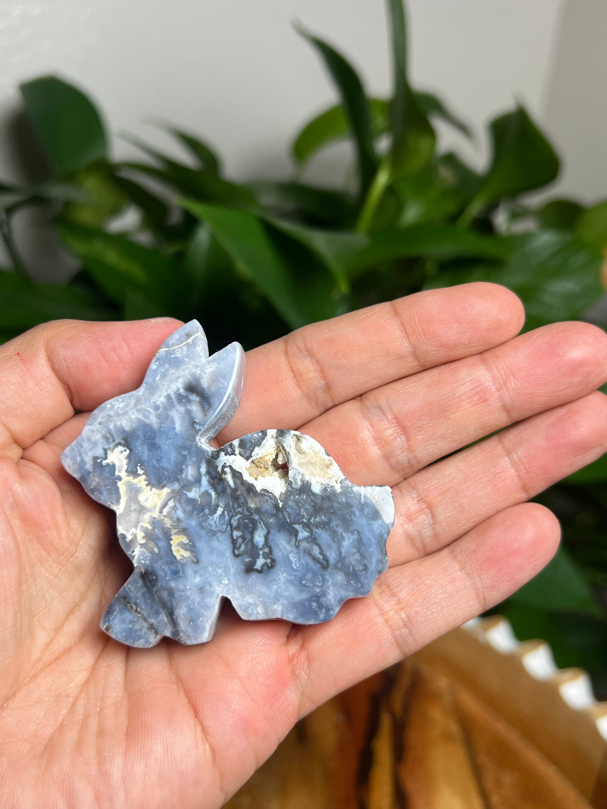 Blue Plume Agate Bunny: PE