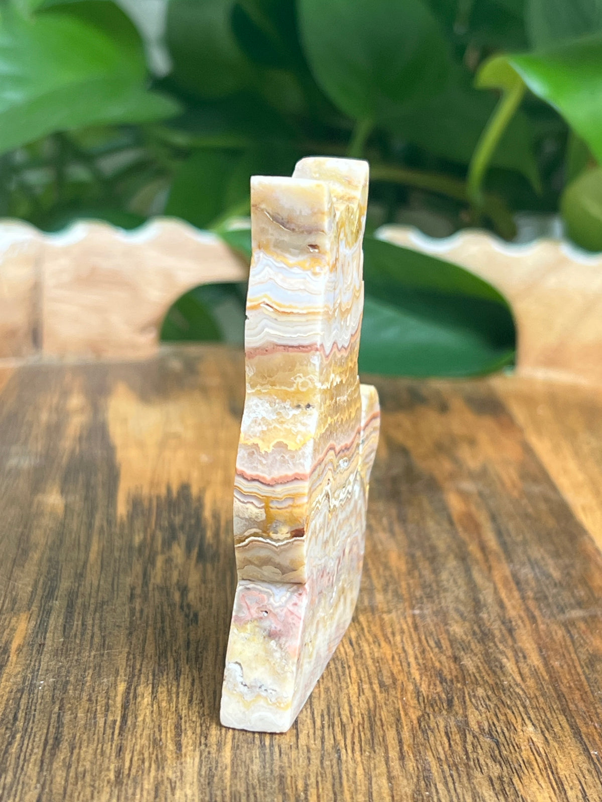 Crazy Lace Agate Cat: QA