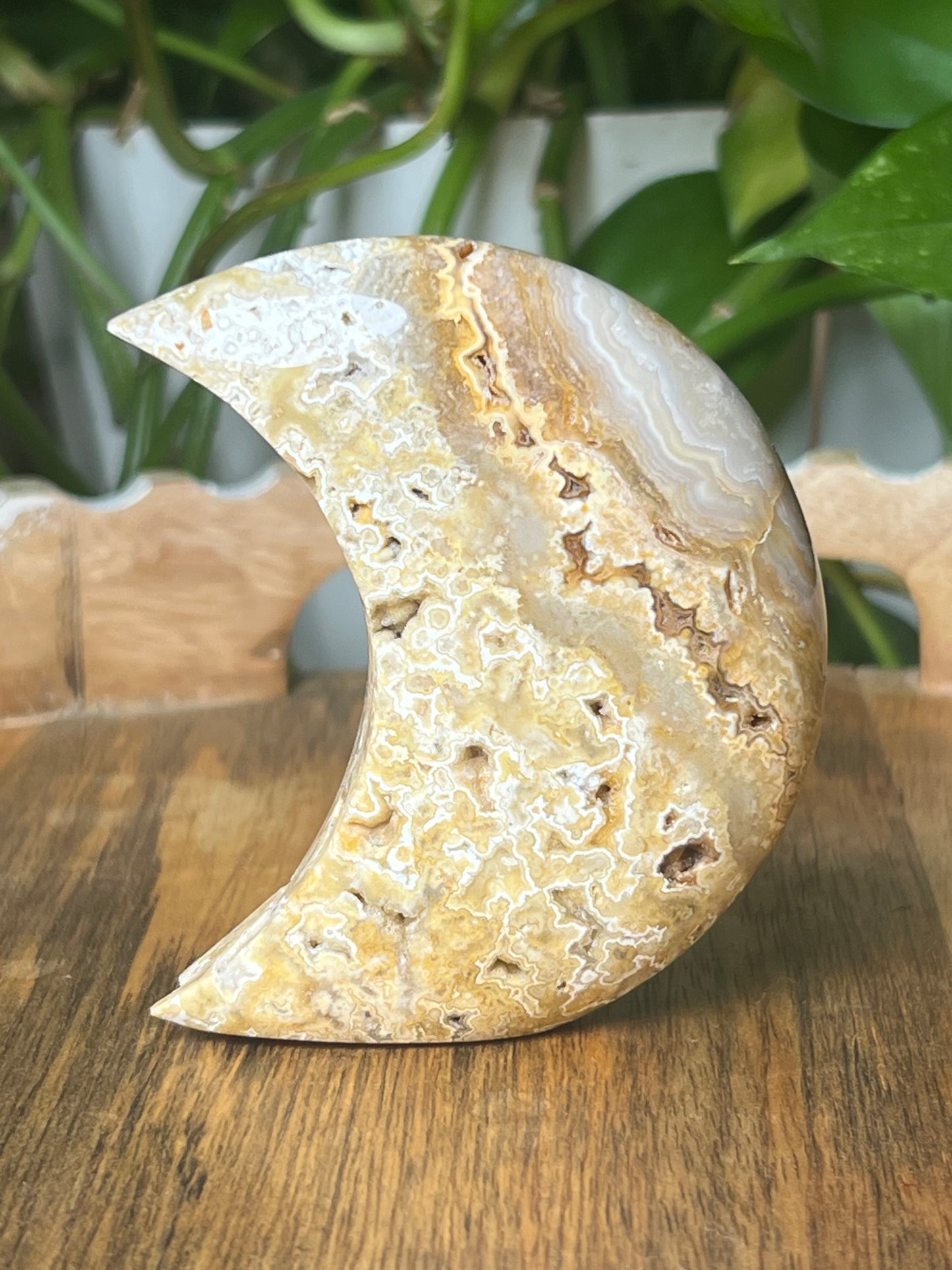 Yellow Crazy Lace Agate Moon