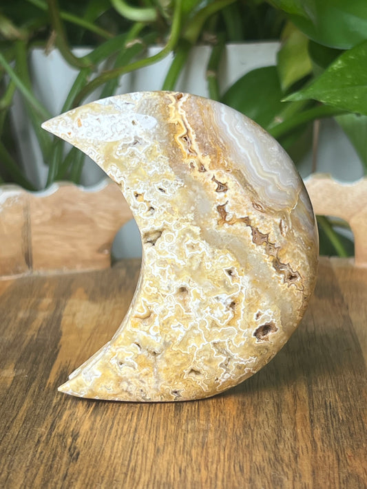 Yellow Crazy Lace Agate Moon
