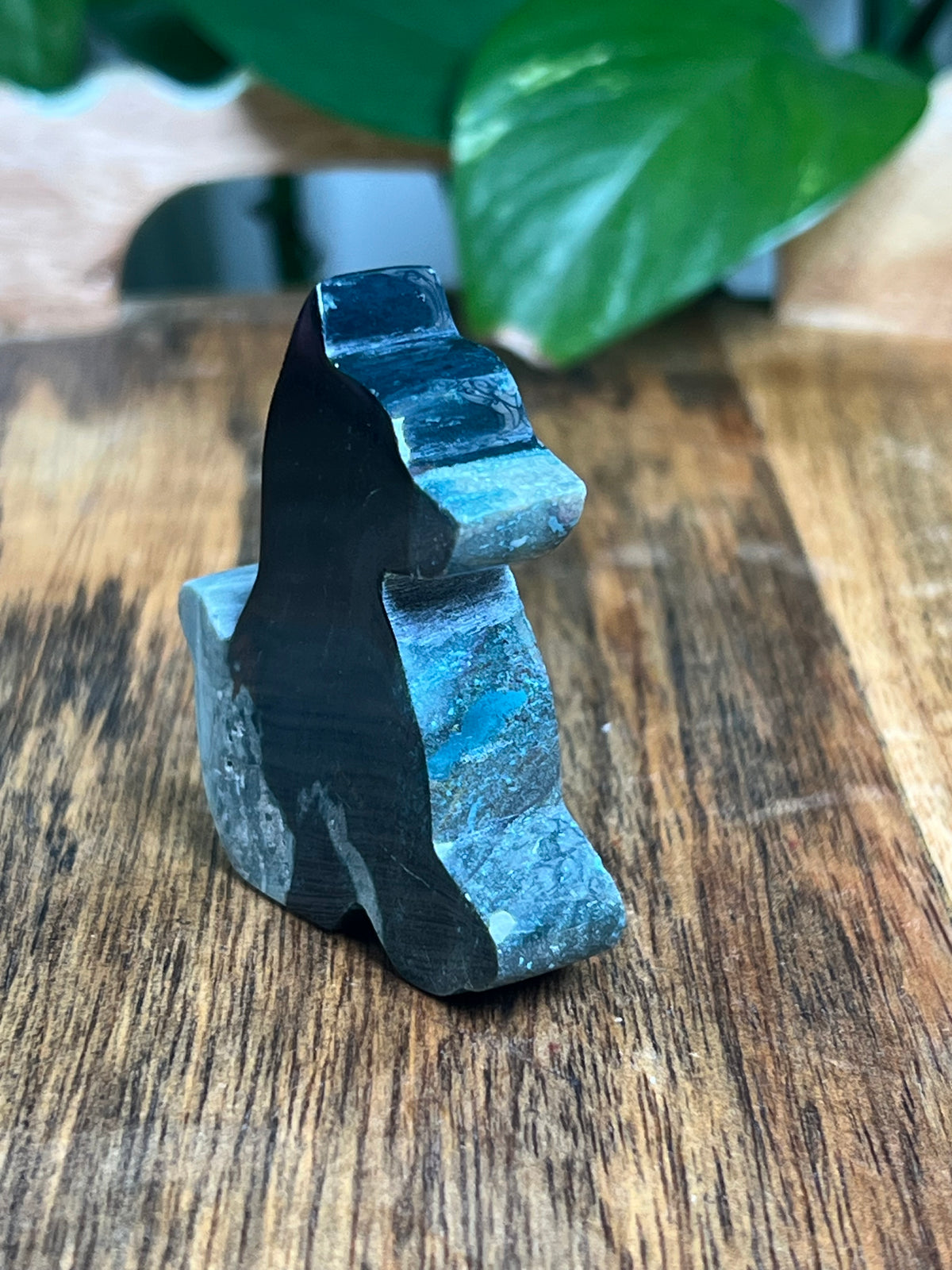 Blue Green Jasper Dog: AA
