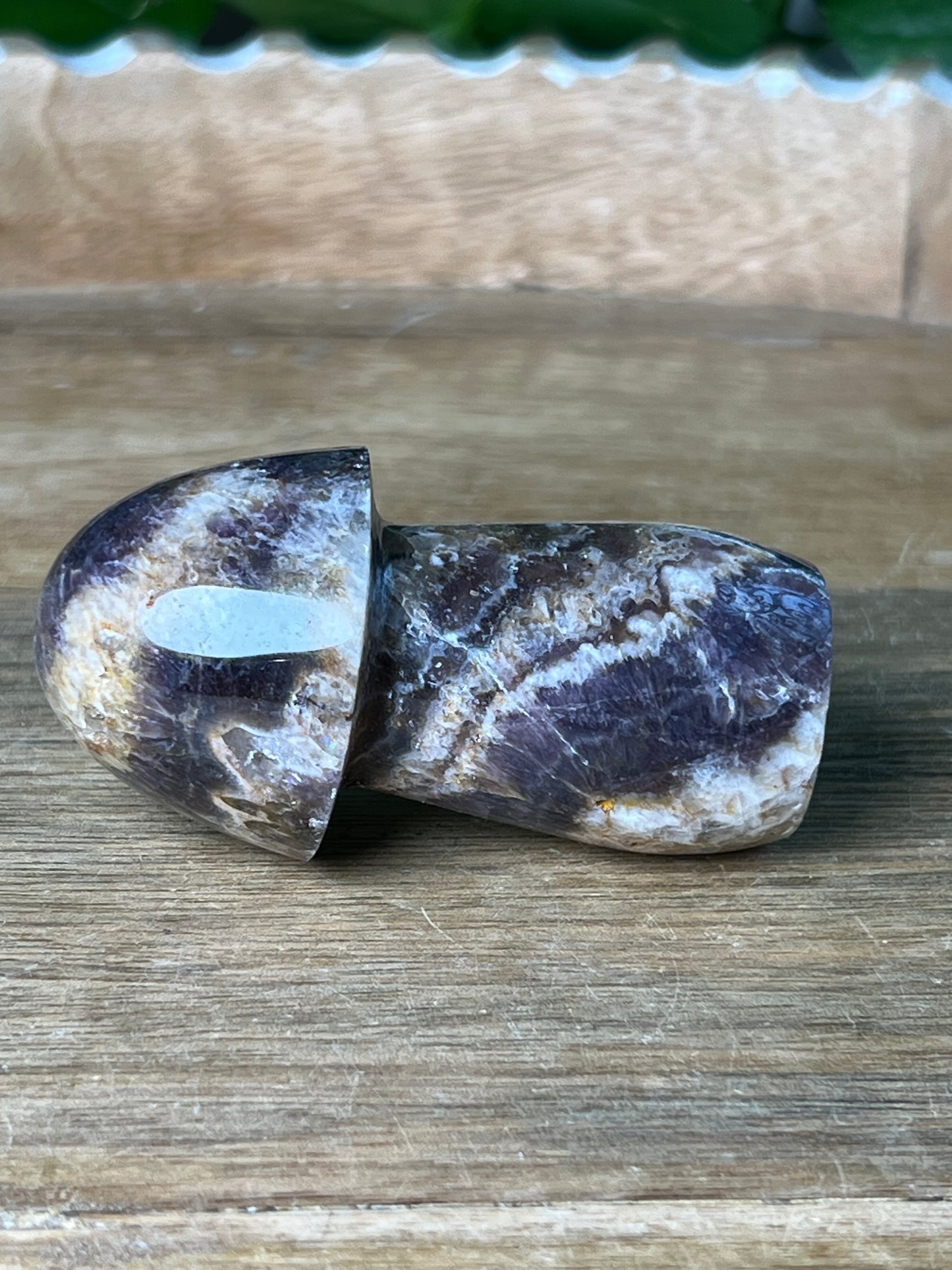 Indonesian Amethyst Mushroom: N