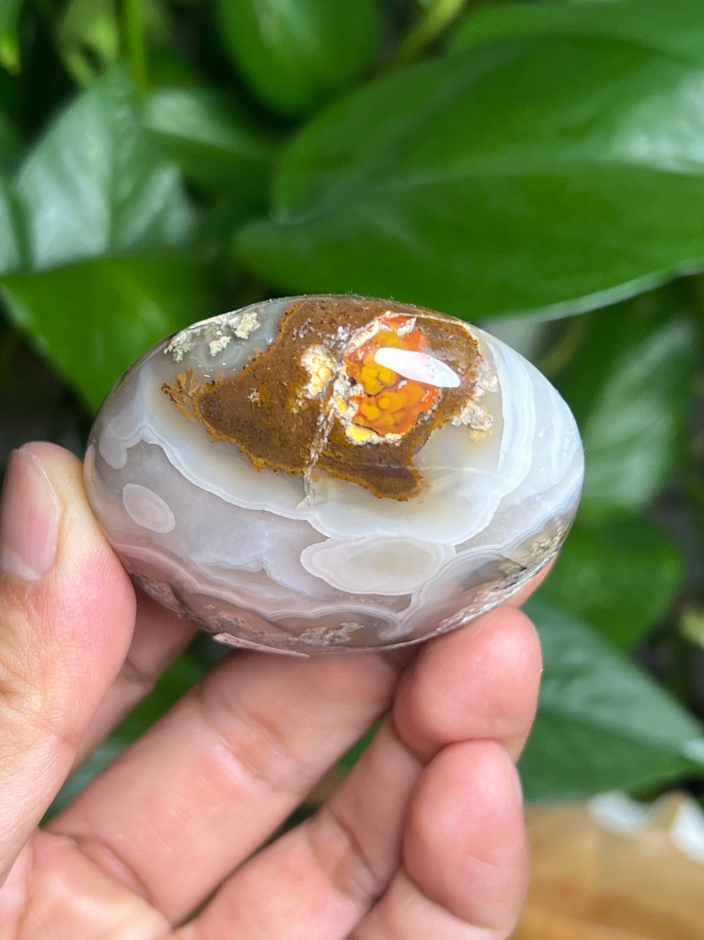 Scenic Moss Agate Palmstone: BC