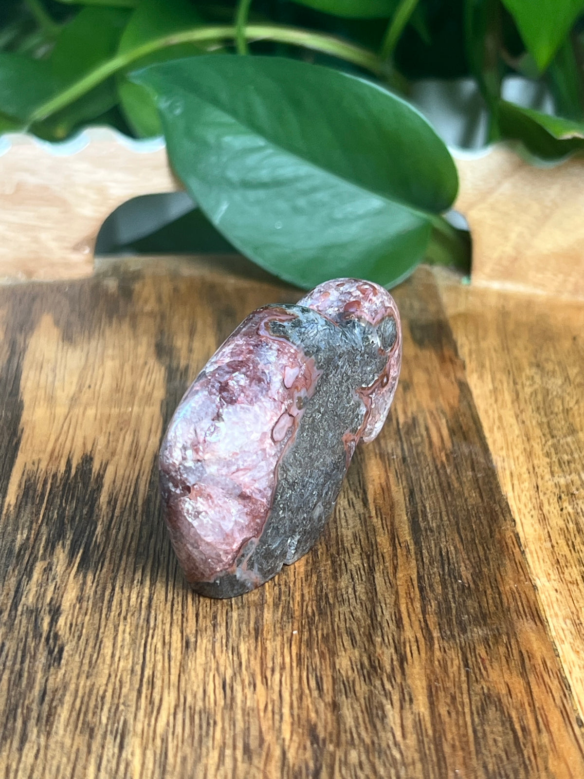 Marcasite Mini Buffalo: MK