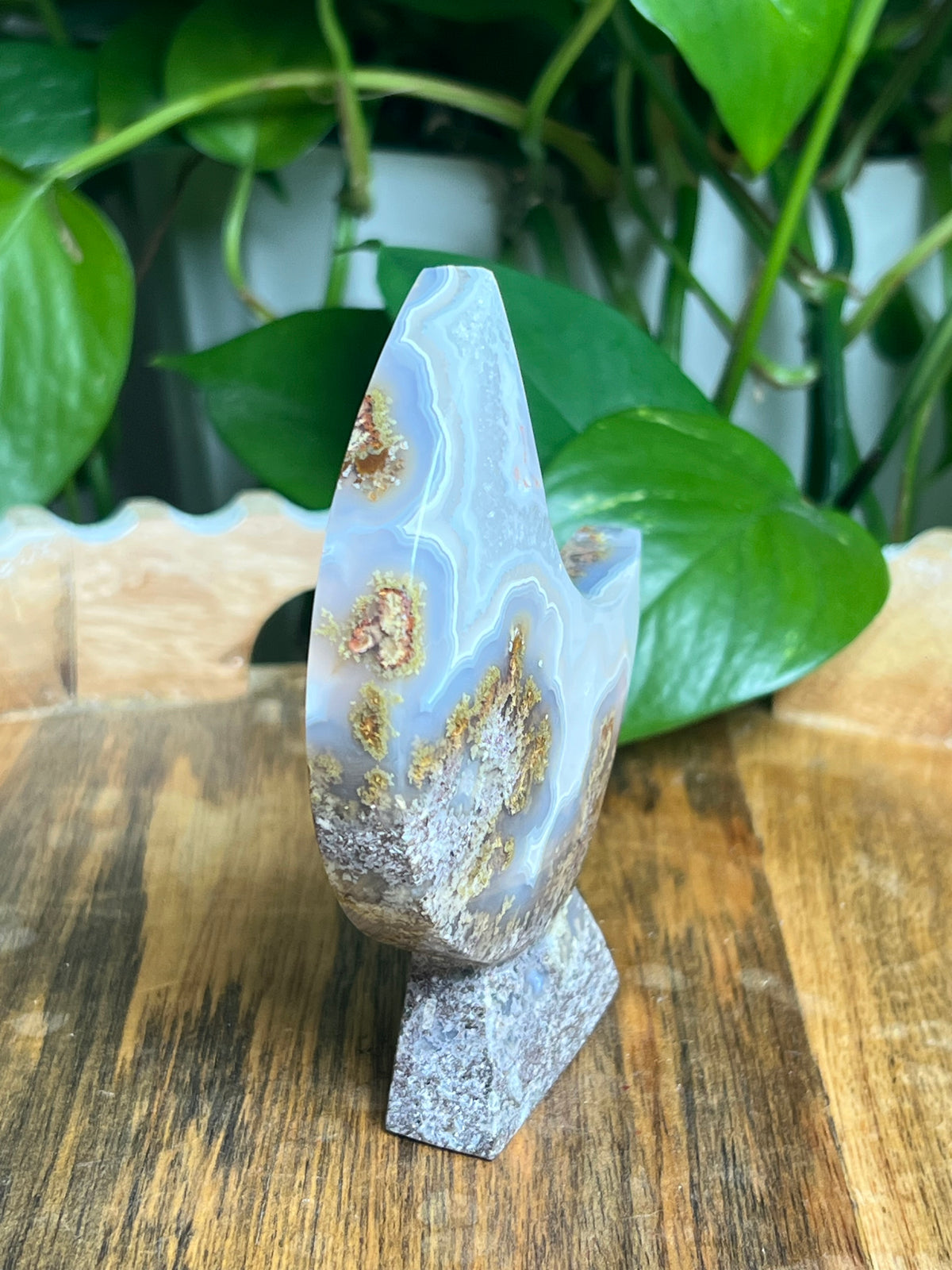 Scenic Moss Agate Self-Standing Moon: LF