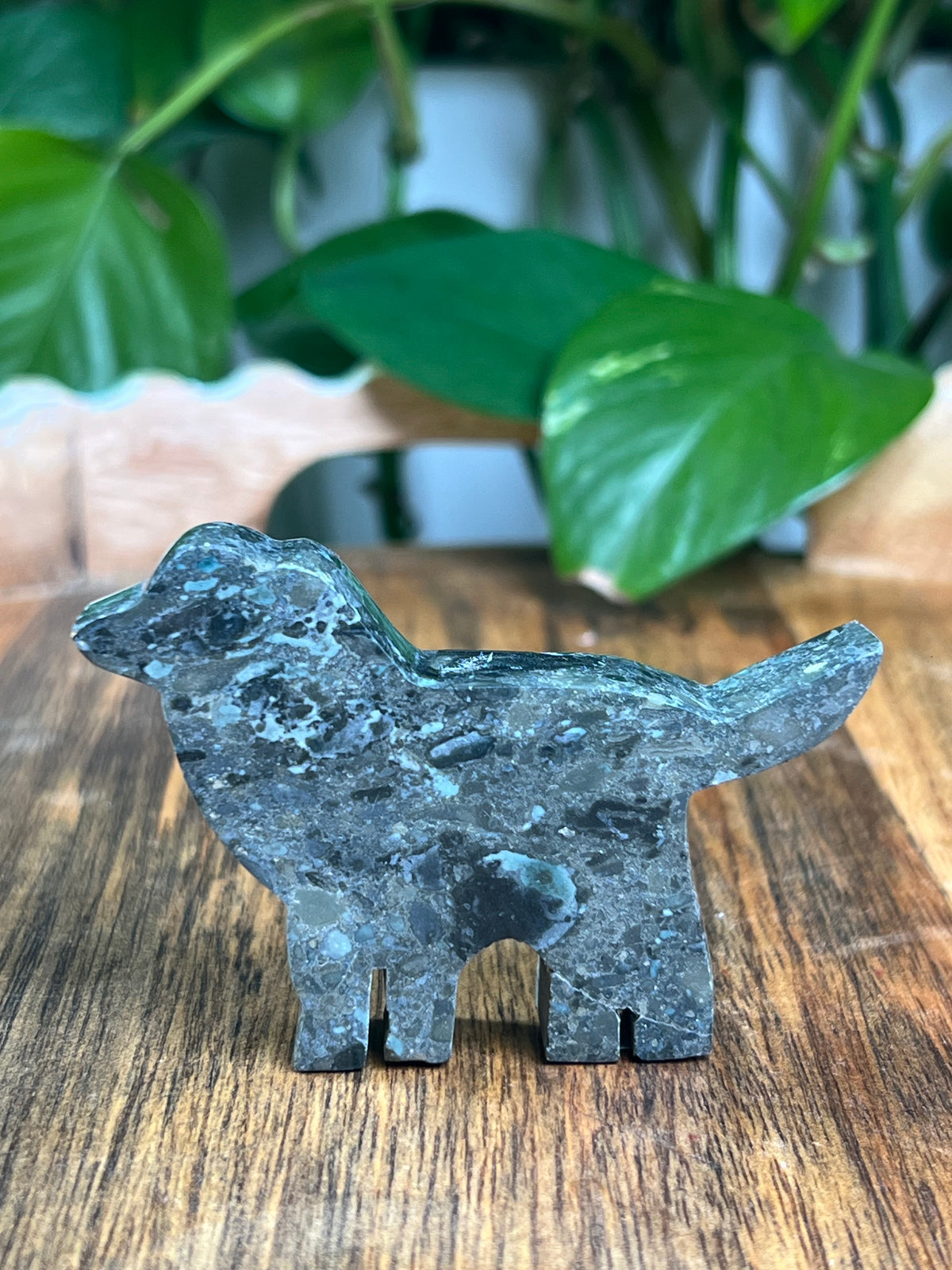 Blue Green Jasper Dog: BK