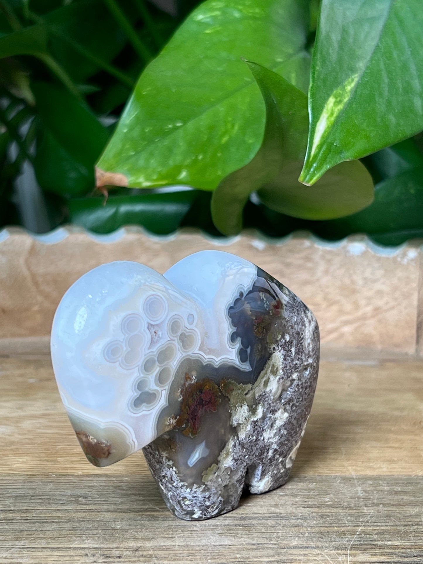 Scenic Moss Agate Buffalo
