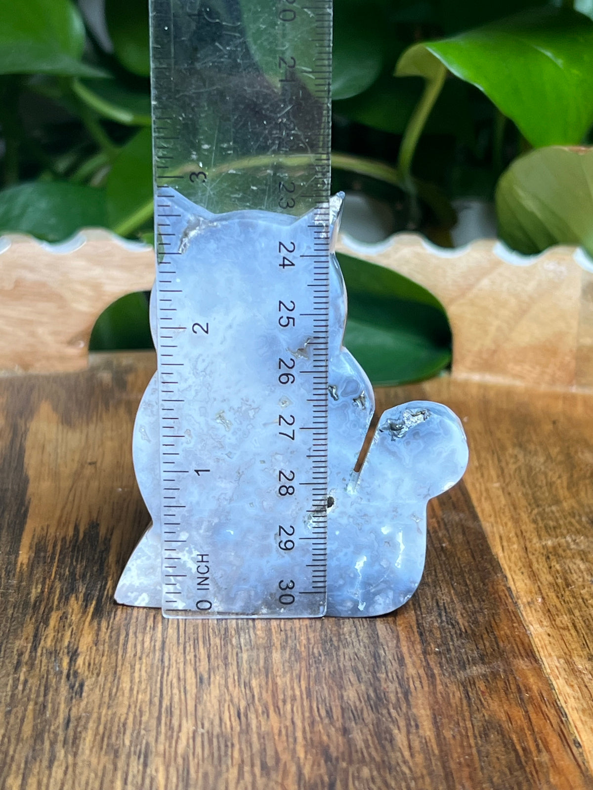 Blue Plume Agate Cat: BF