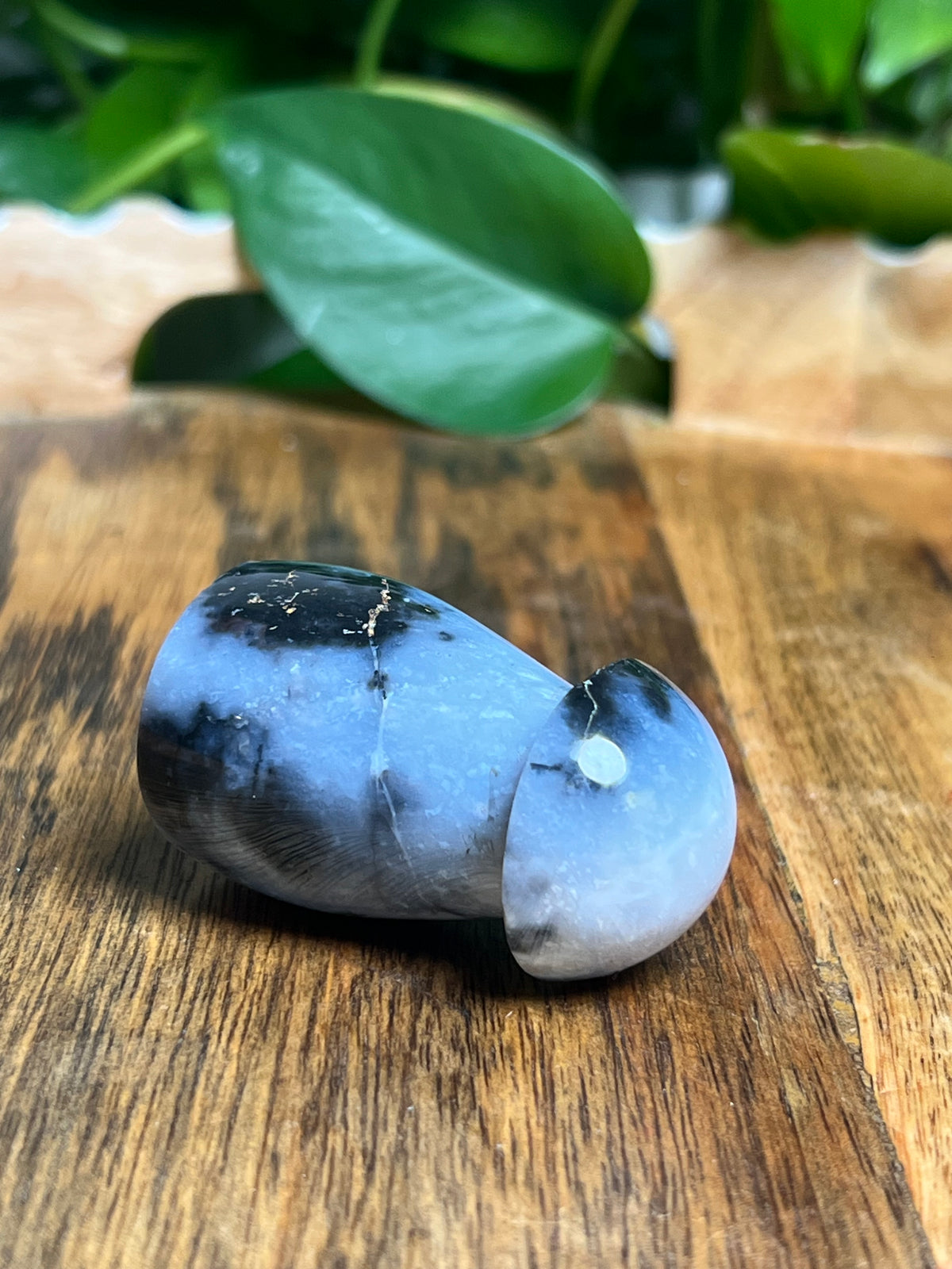 Blue Plume Agate Mushroom: TP