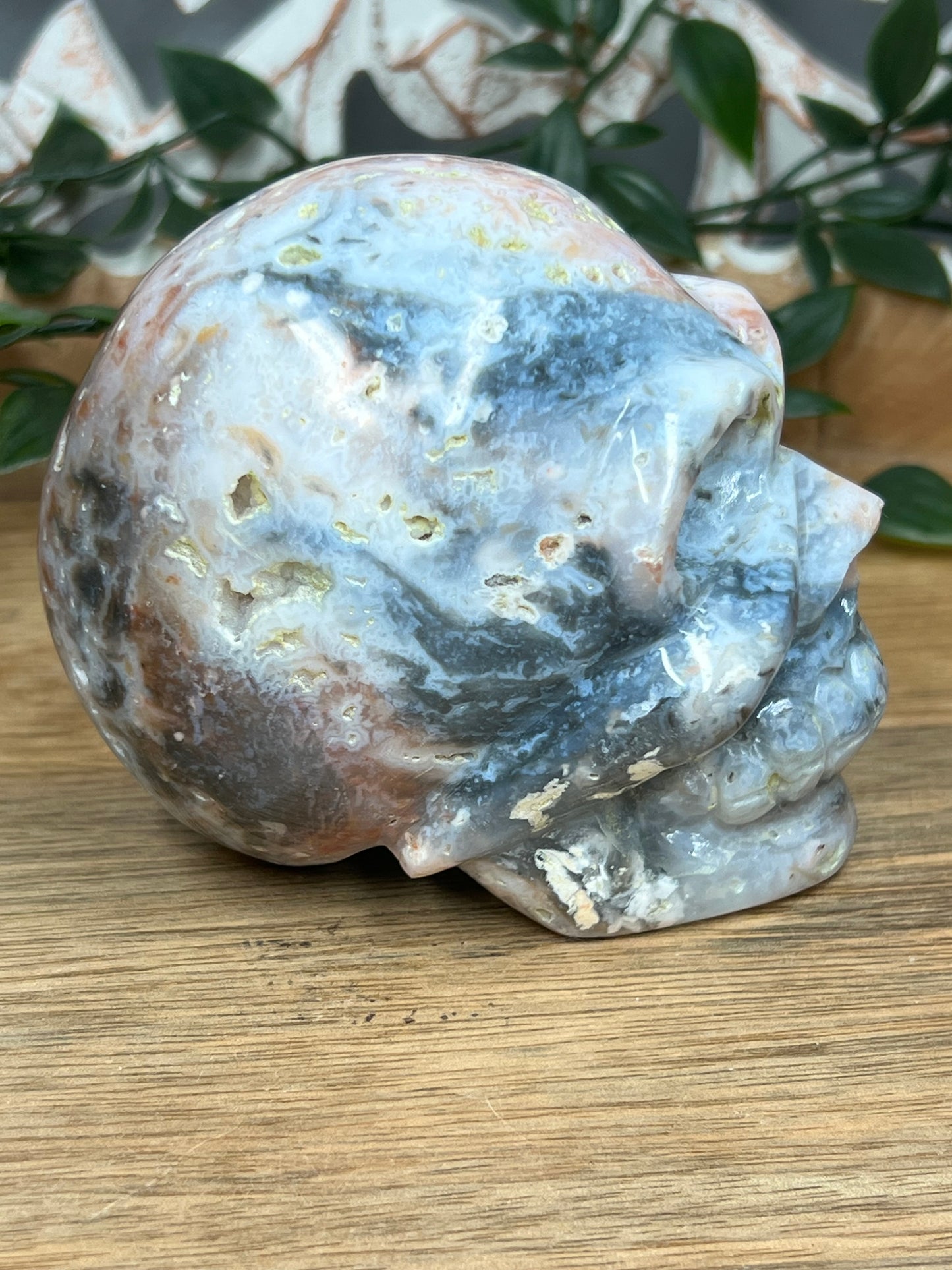 Rainbow Plume Agate Skull