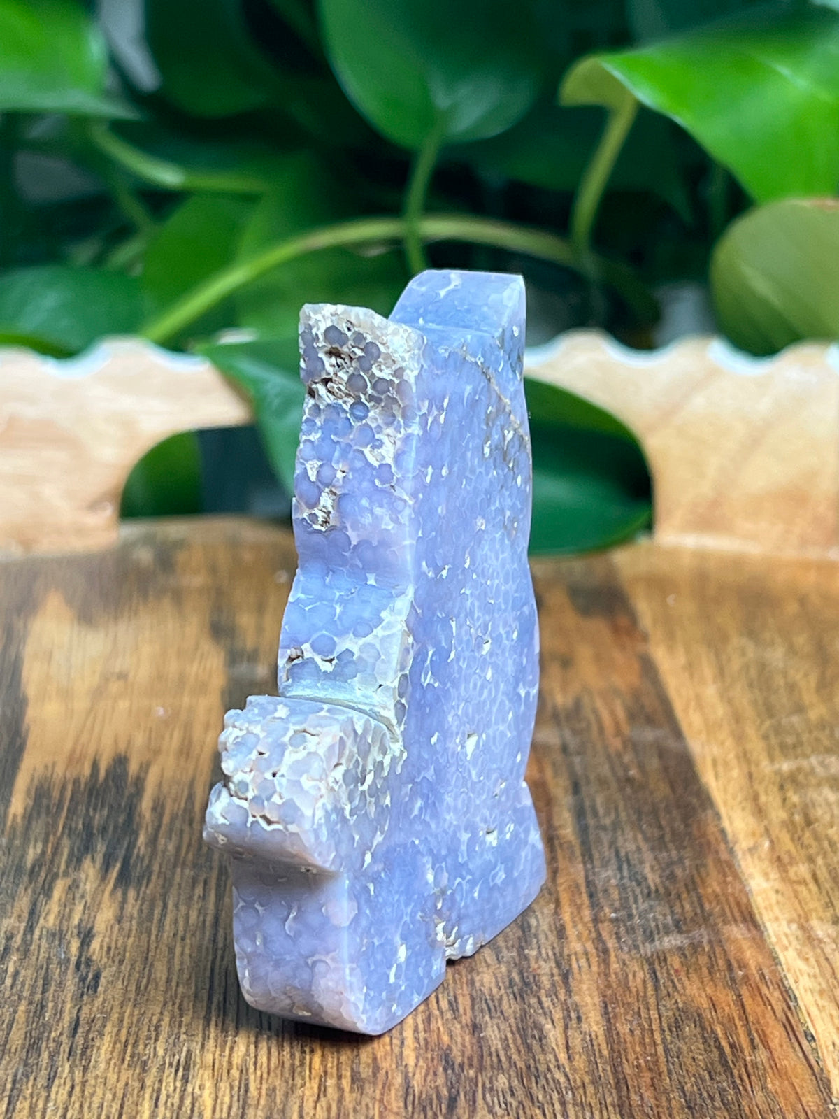 Grape Agate Cat: Ni
