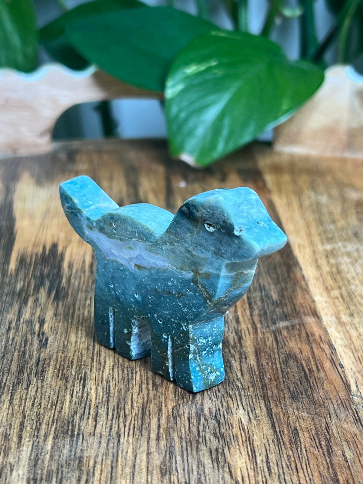 Blue Green Jasper Dog: BA