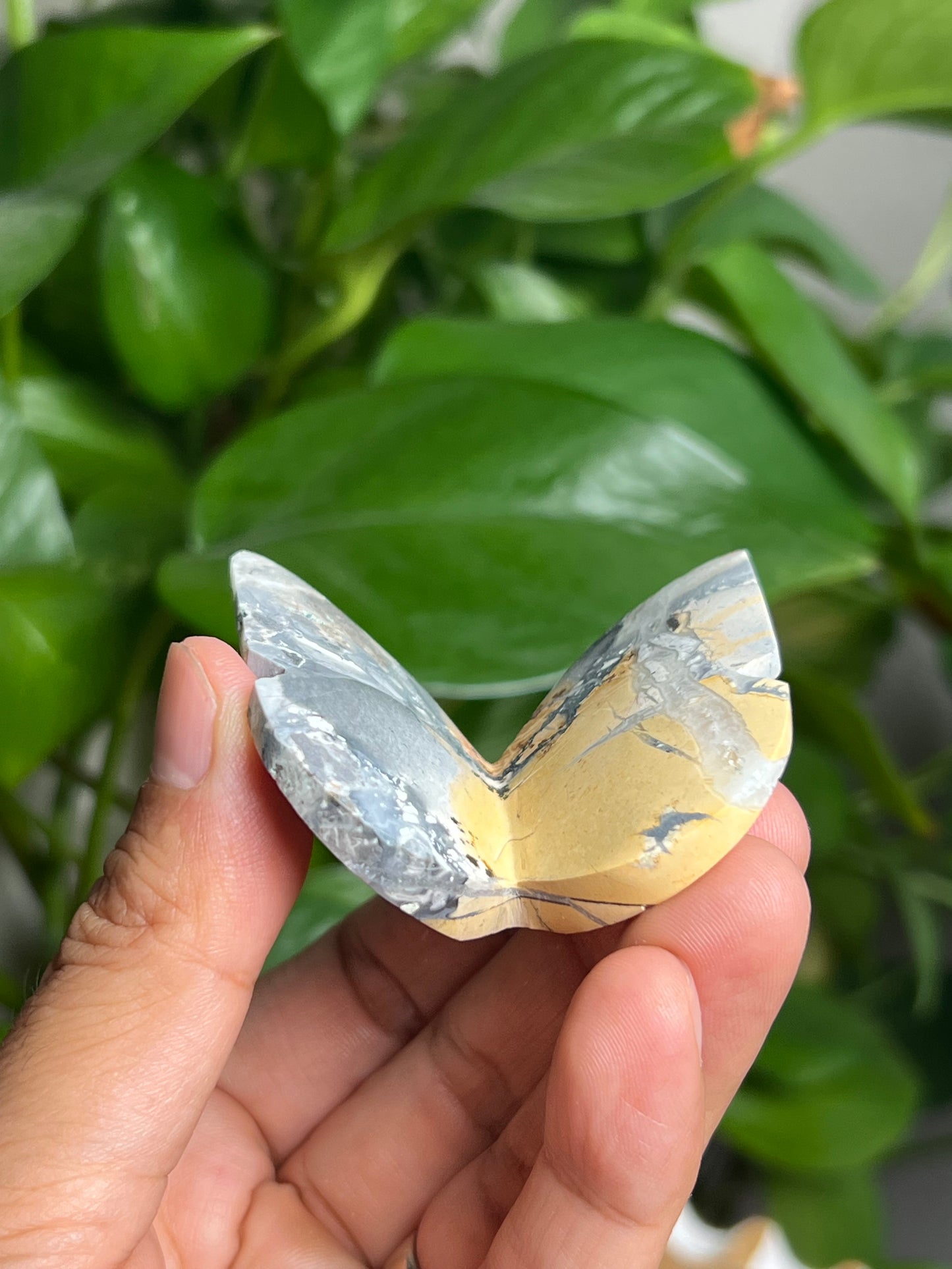 Maligano 3D Butterfly: AD