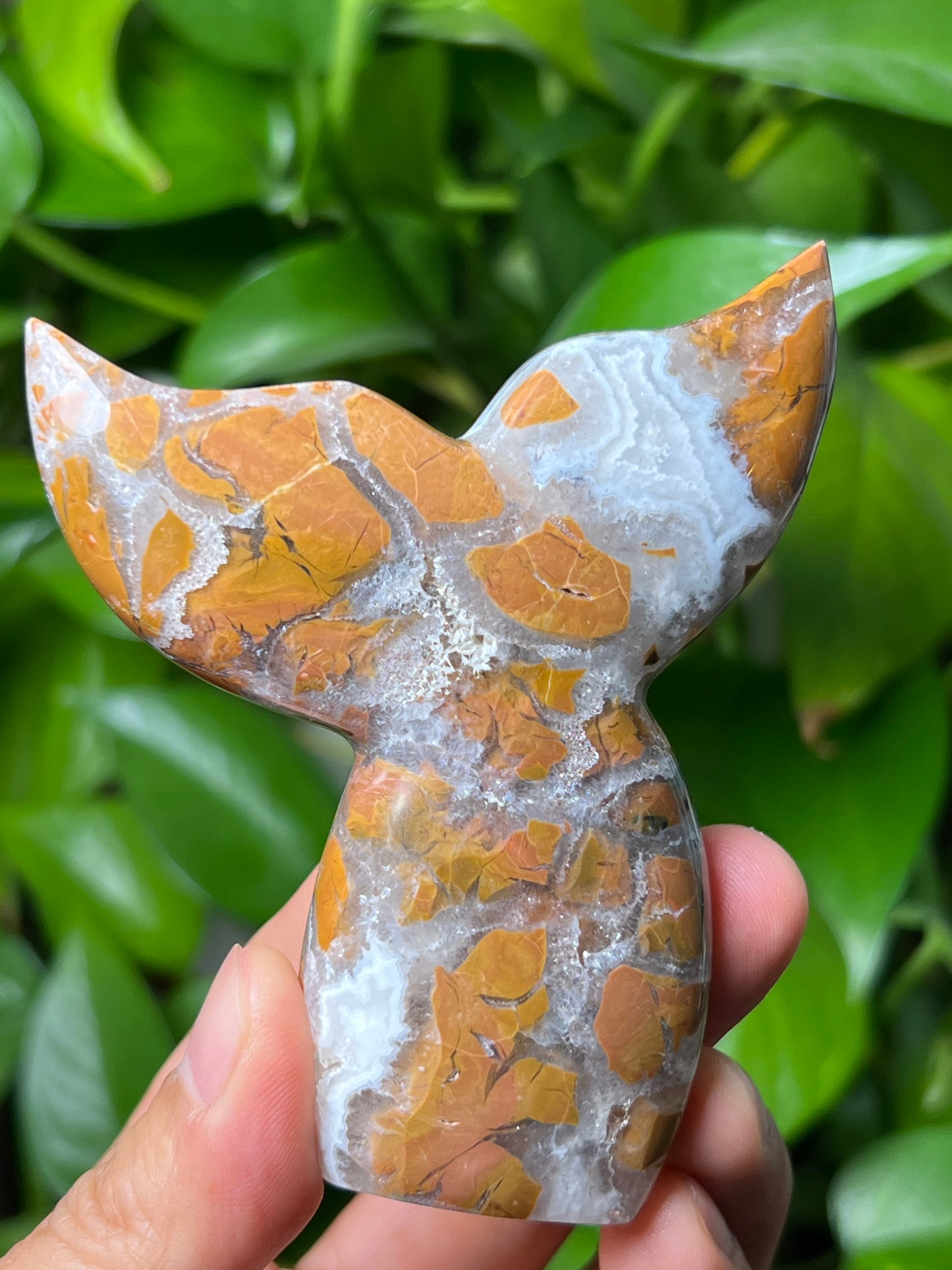Brecciated Jasper Tail
