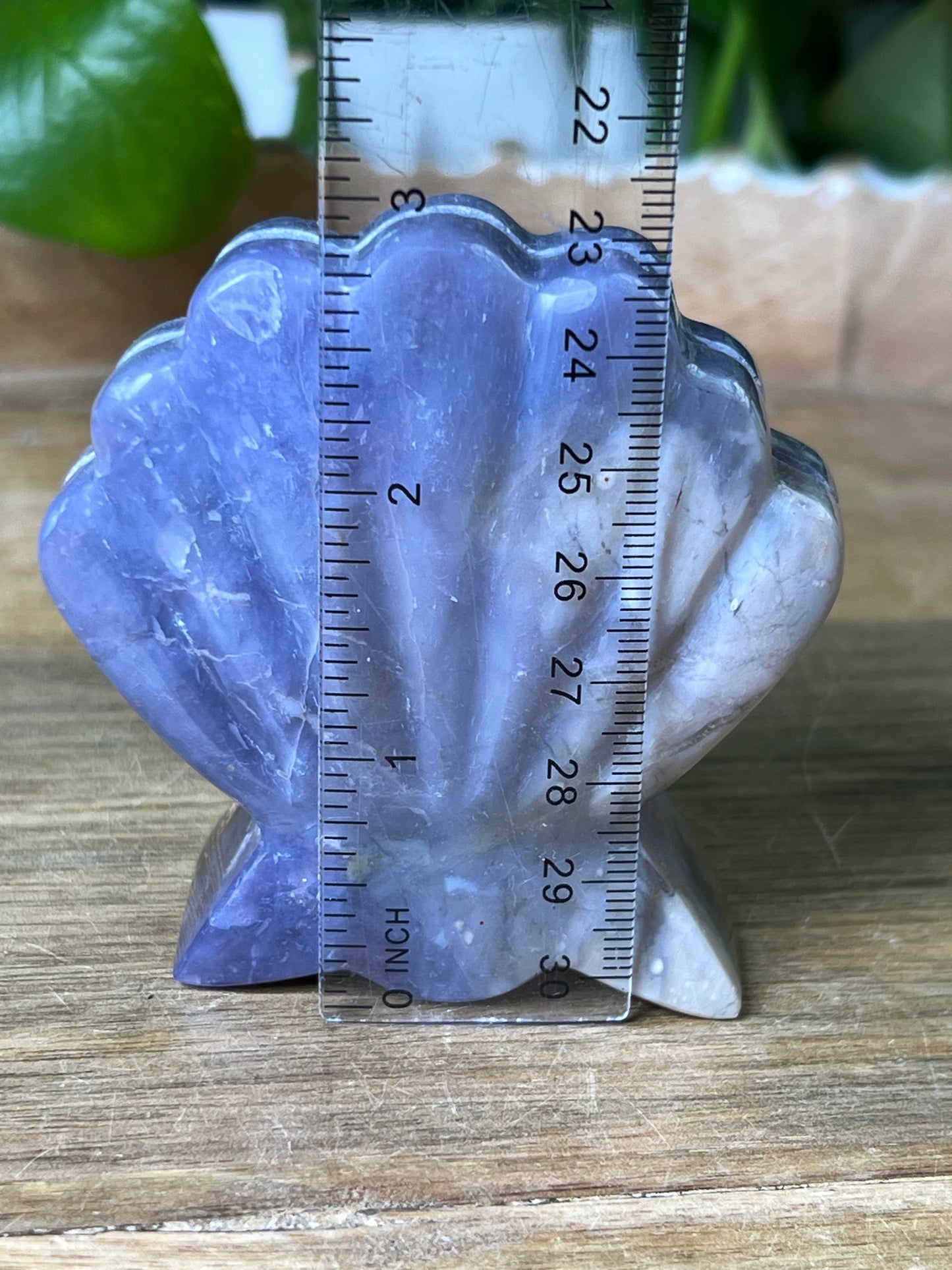 Purple Chalcedony Shell