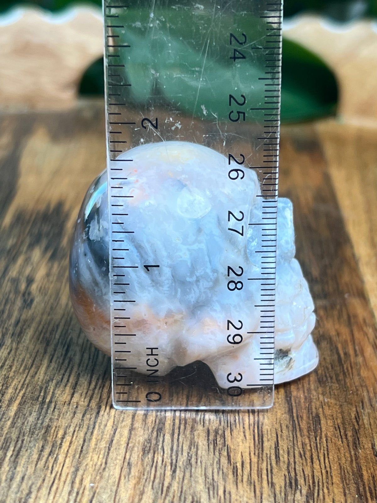 Rainbow Plume Agate Mini Skull: DL