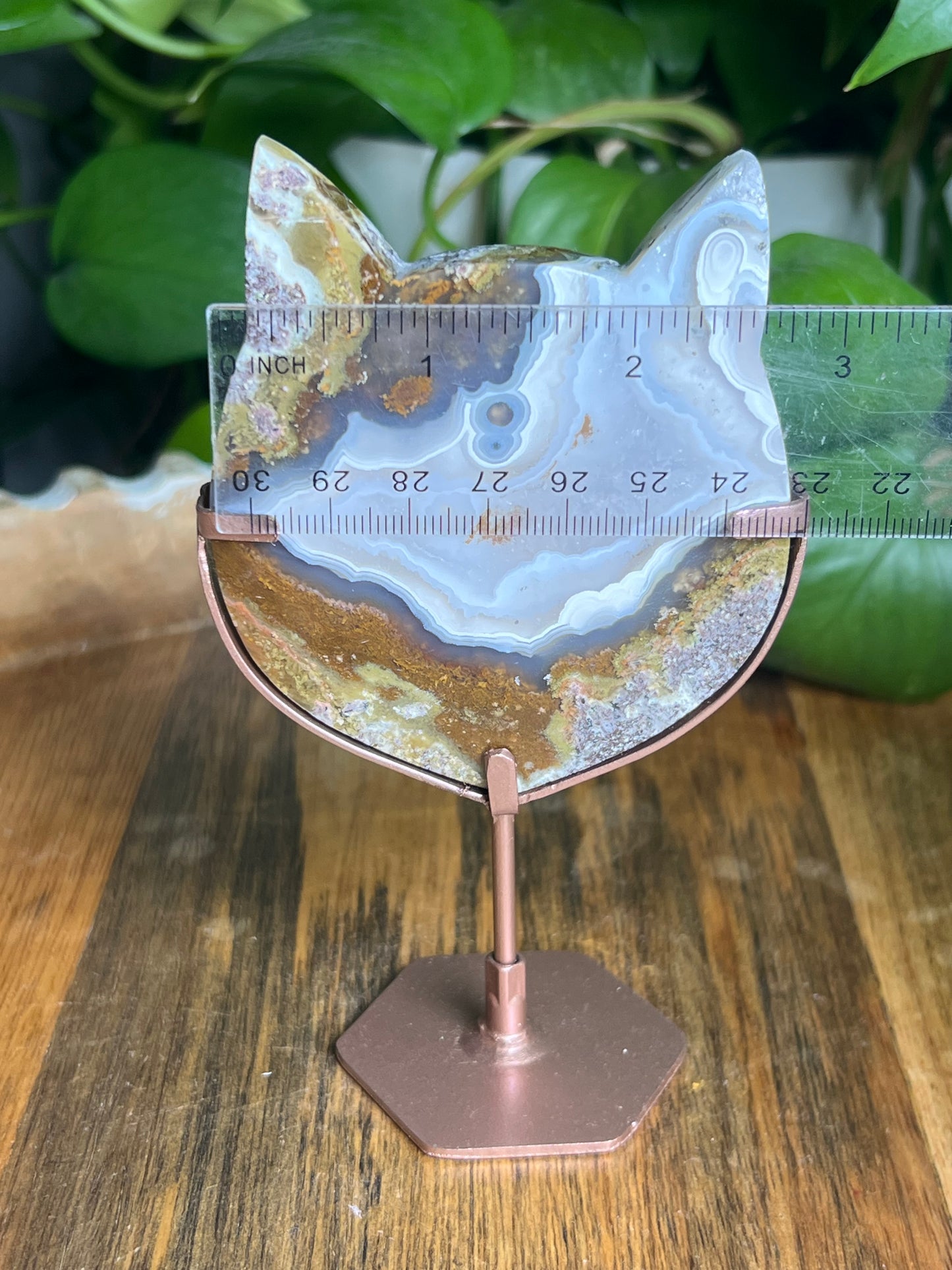 Scenic Moss Agate Cat Head