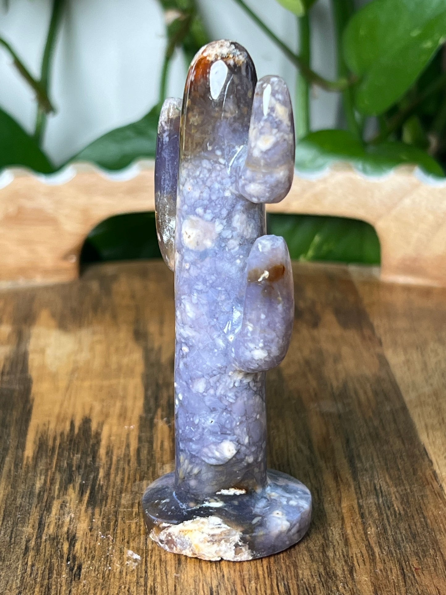Purple Chalcedony Cactus