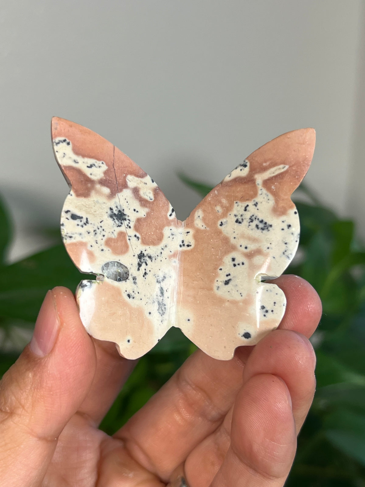 Peachy Pink Dendritic Jasper 3D Butterflies