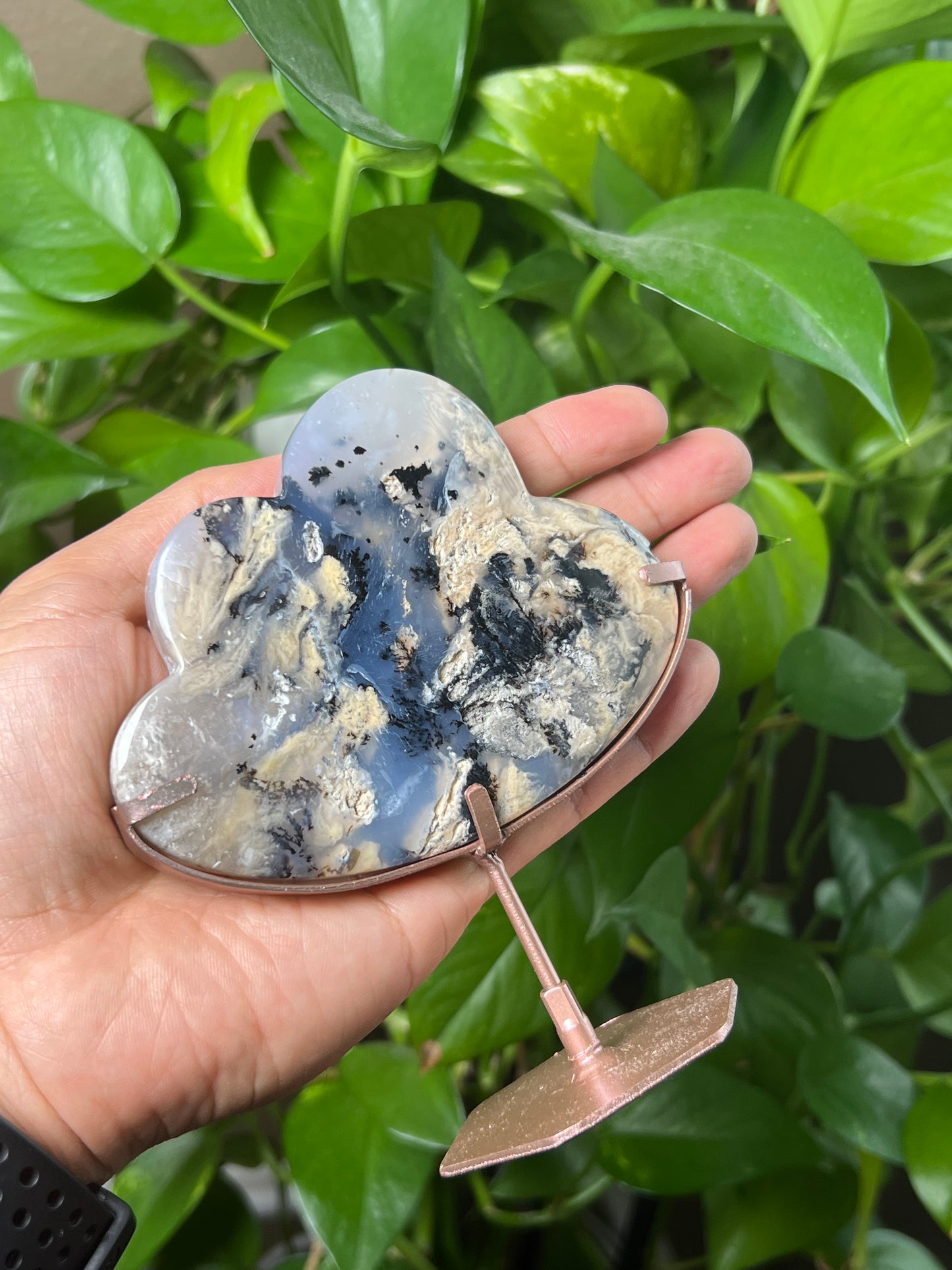 Dendritic Tiger Agate Cloud