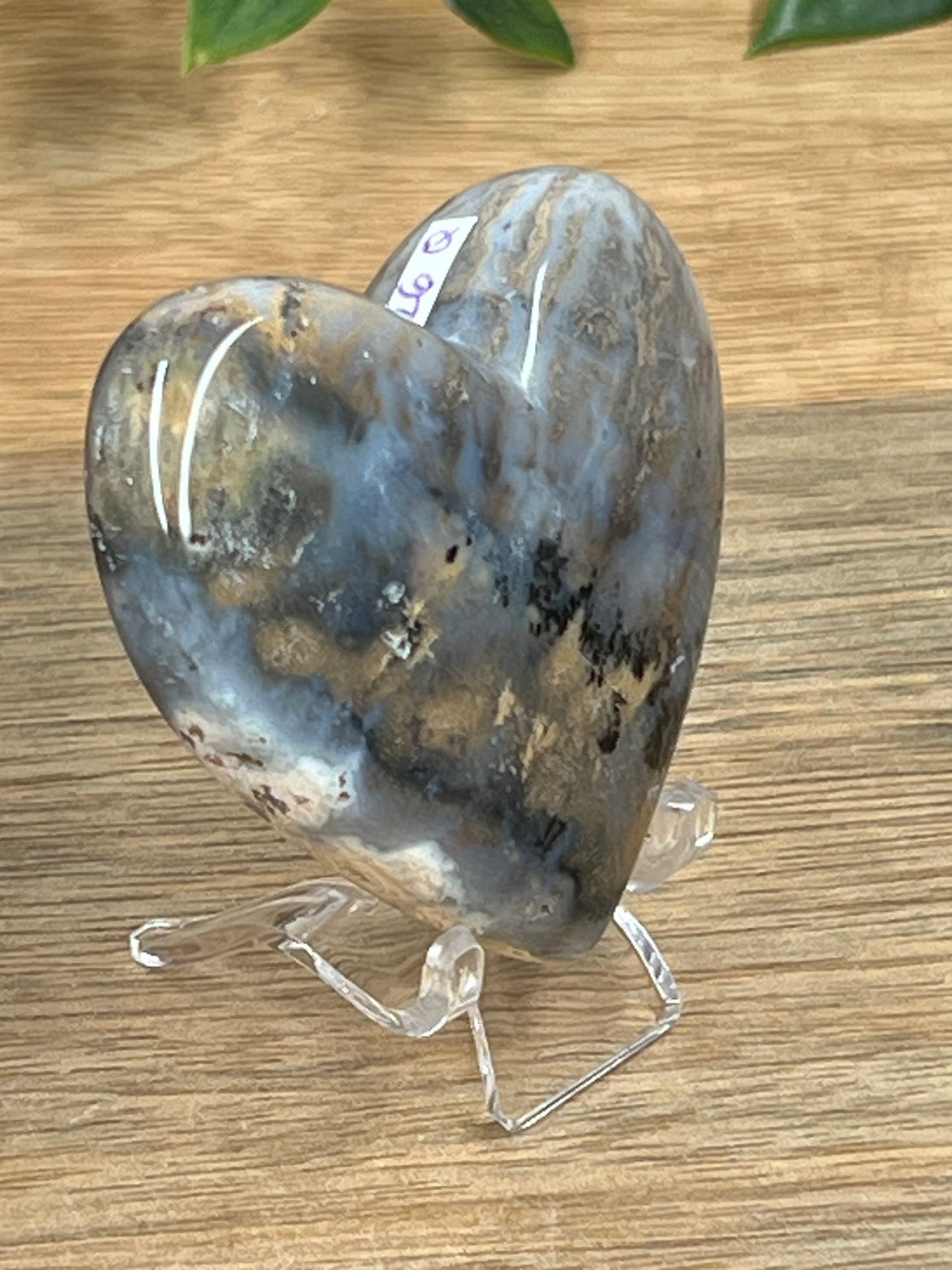 Dendritic Tiger Agate Heart