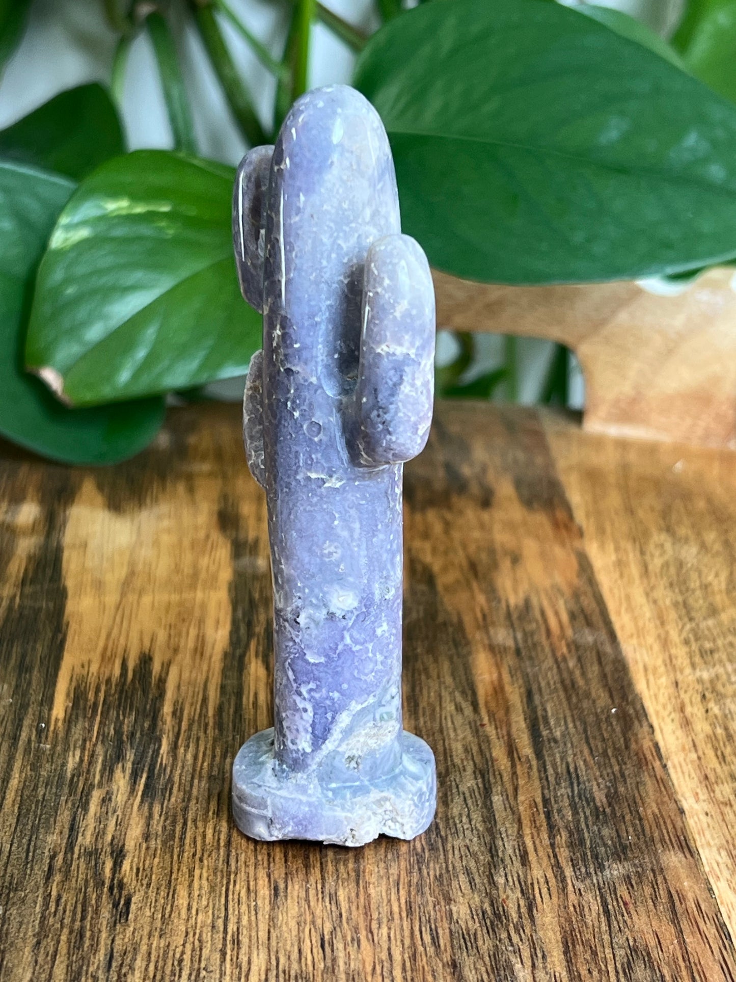 Grape Agate Cactus: AX