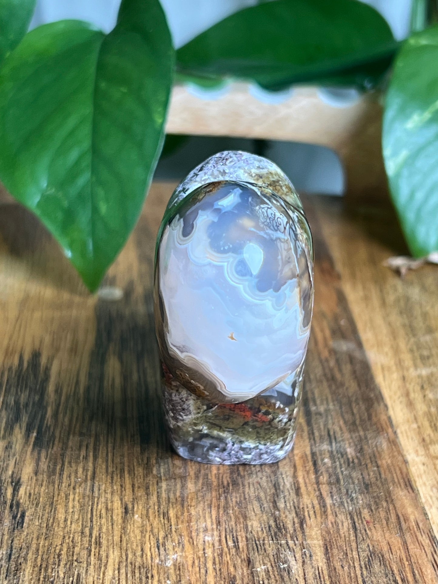 Scenic Moss Agate Buffalo ME