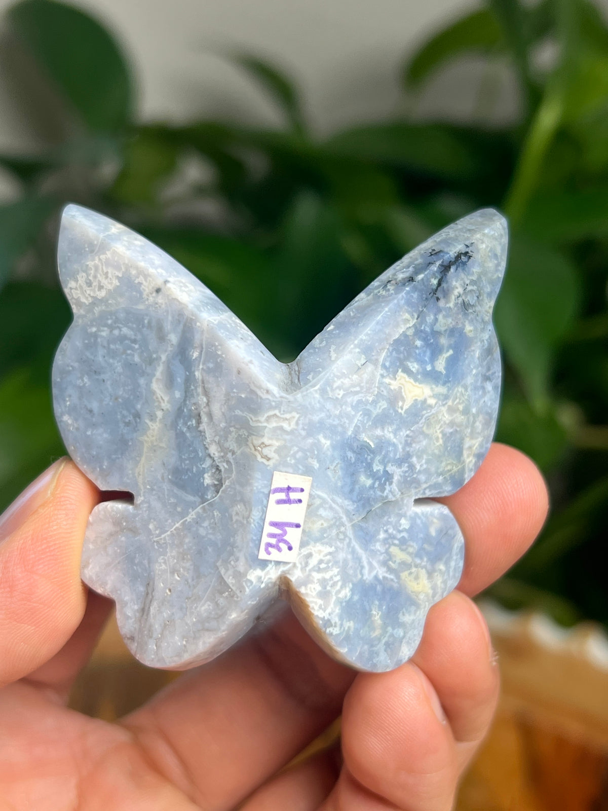 Blue Plume Agate 3D Butterfly: H