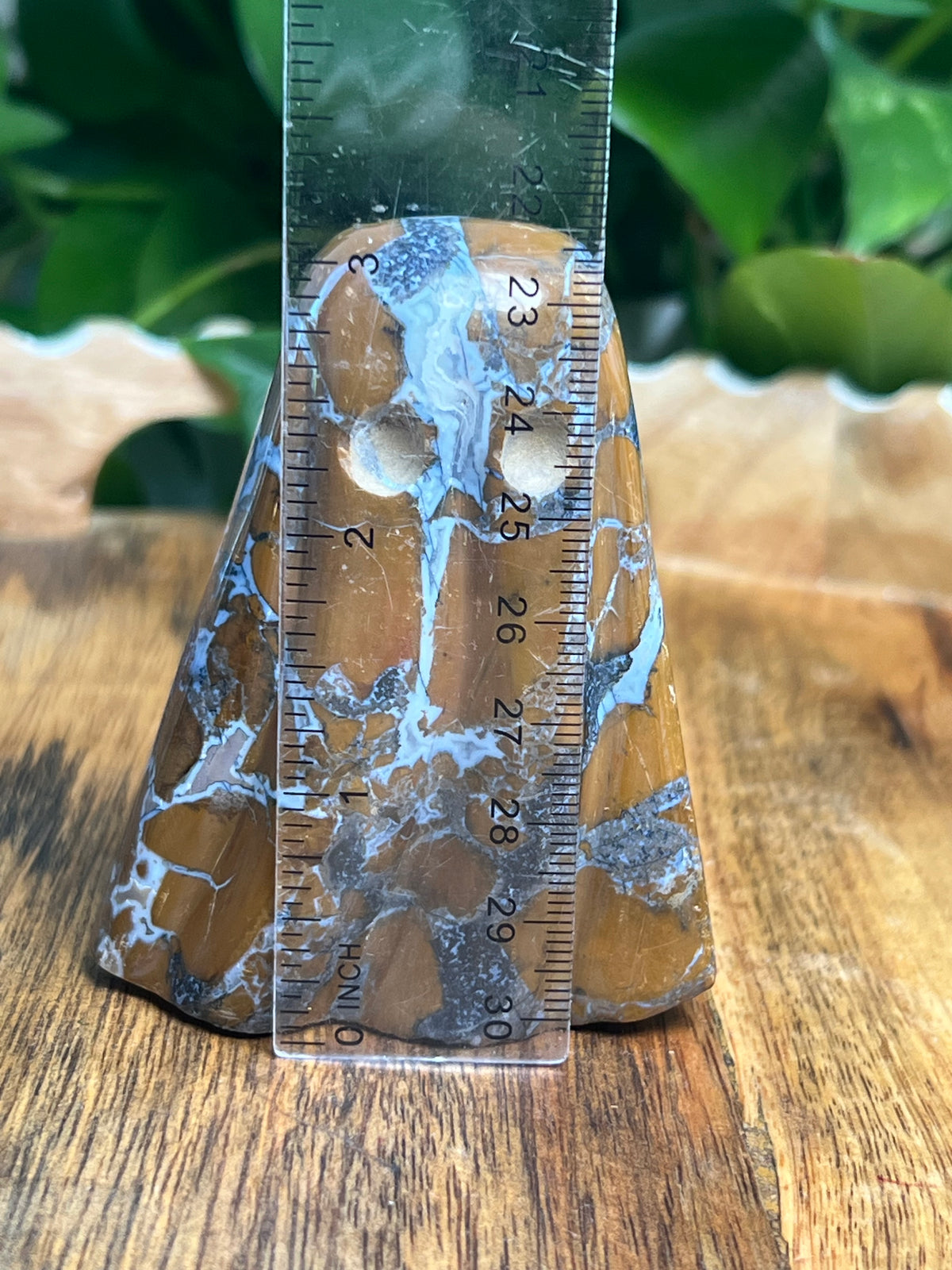 Brecciated Jasper Ghost: W