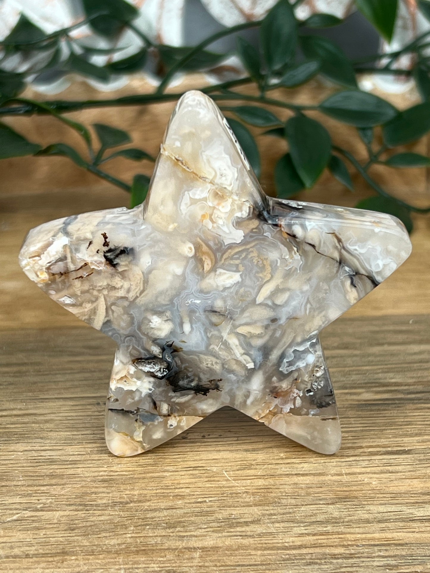 Dendritic Tiger Agate Star