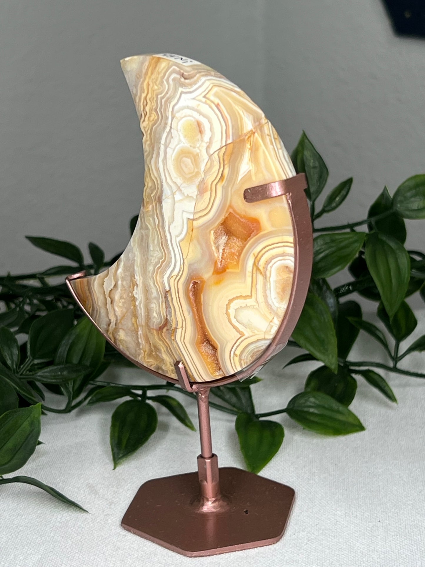 Yellow Crazy Lace Agate Moon