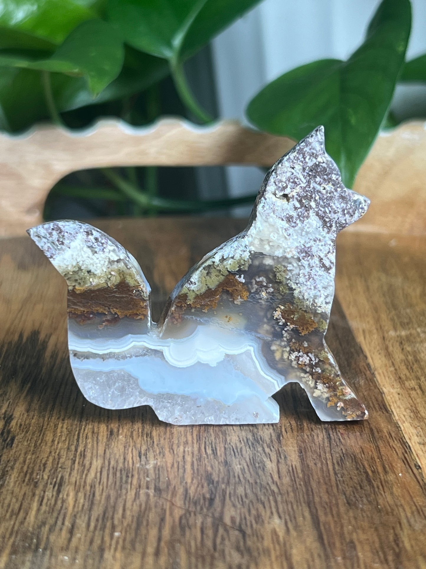 Scenic Moss Agate Fox PV
