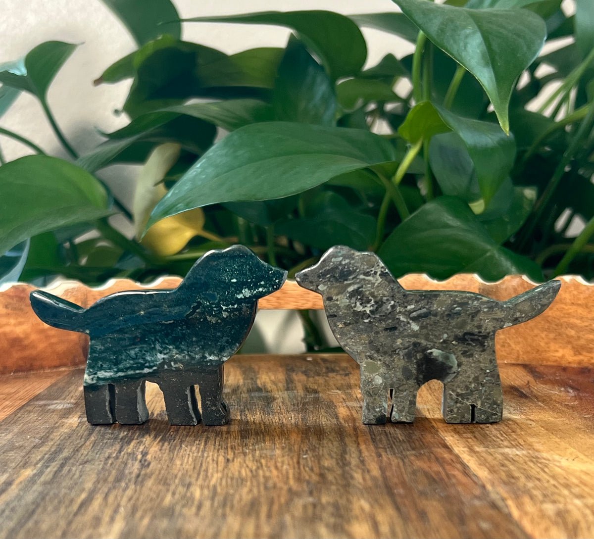 Blue Green Jasper Dogs