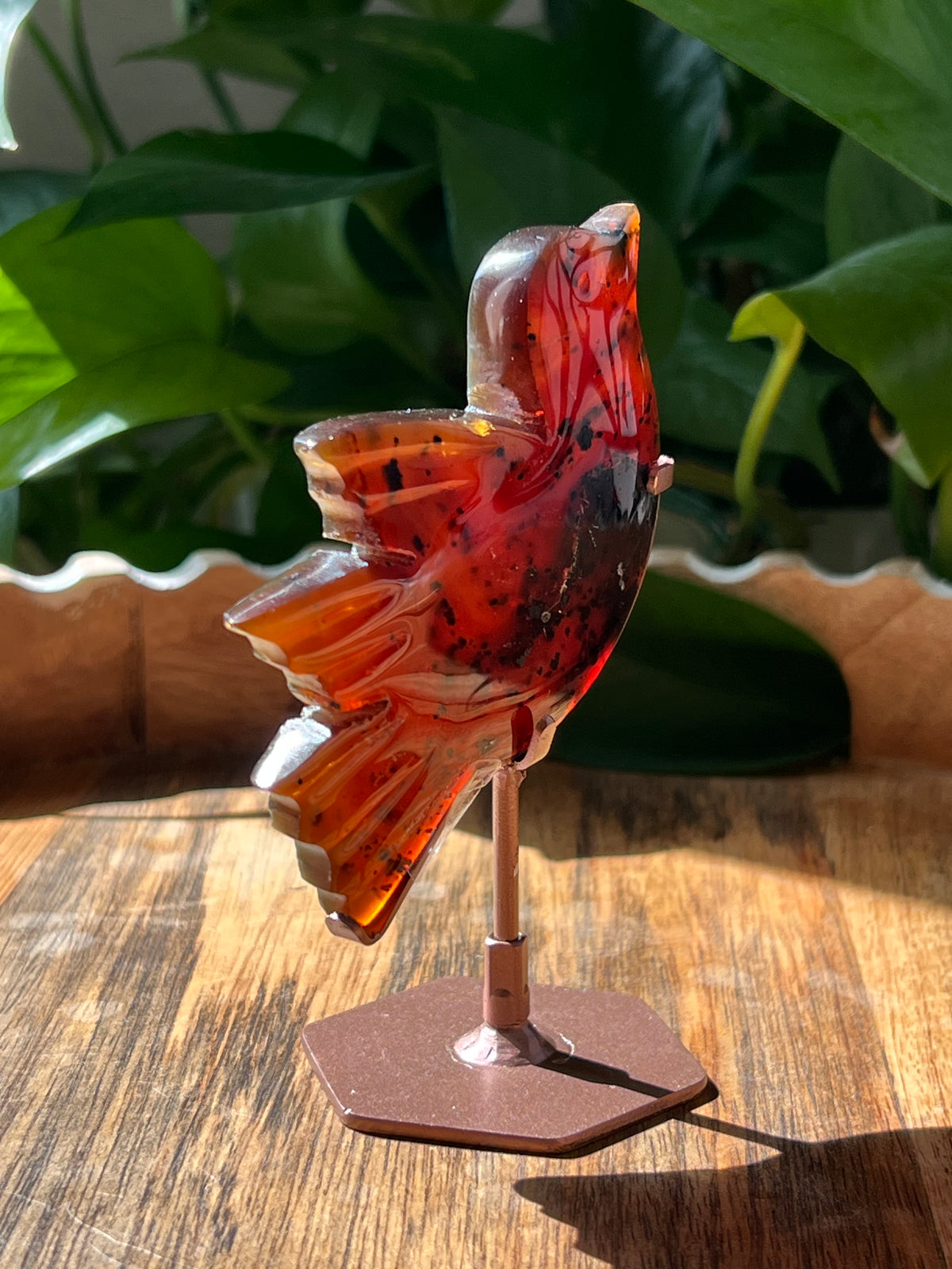 Blue Amber Bird: AK