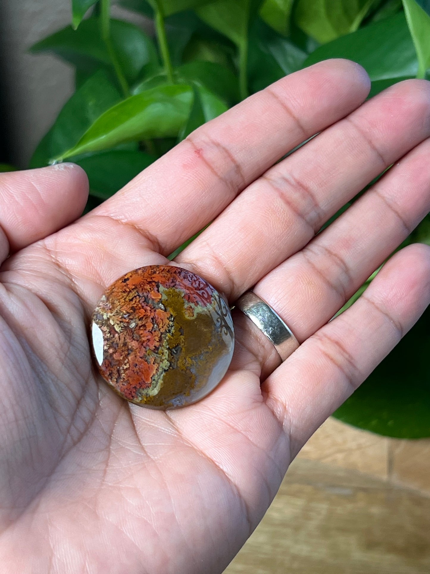 Scenic Moss Agate Cabochon