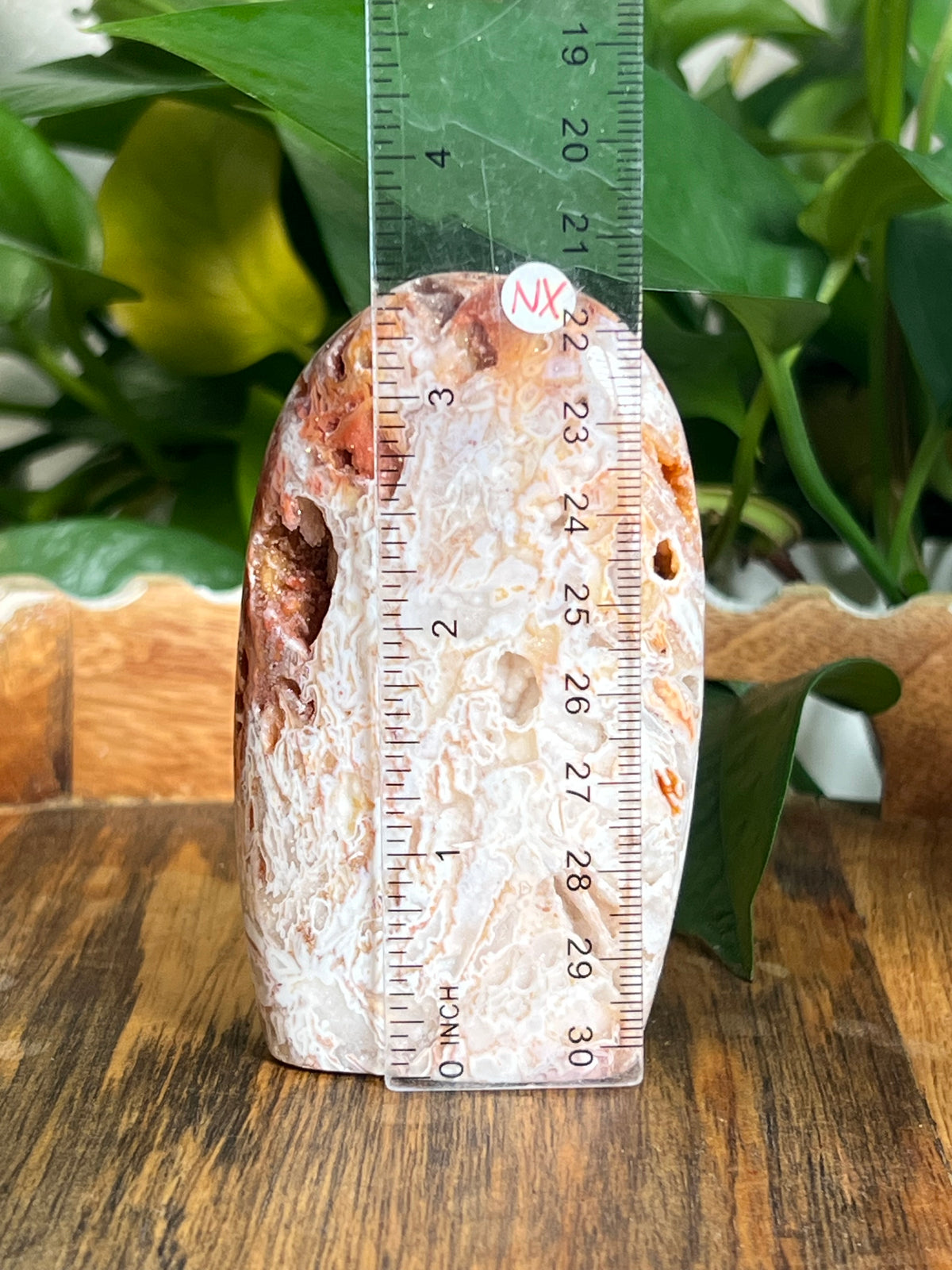 Tube Agate Freeform