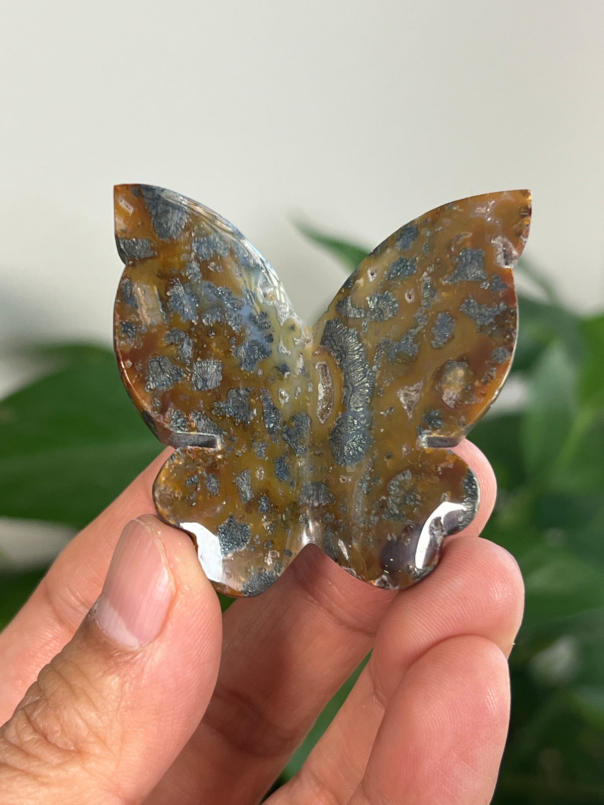 Marcasite 3D Butterflies