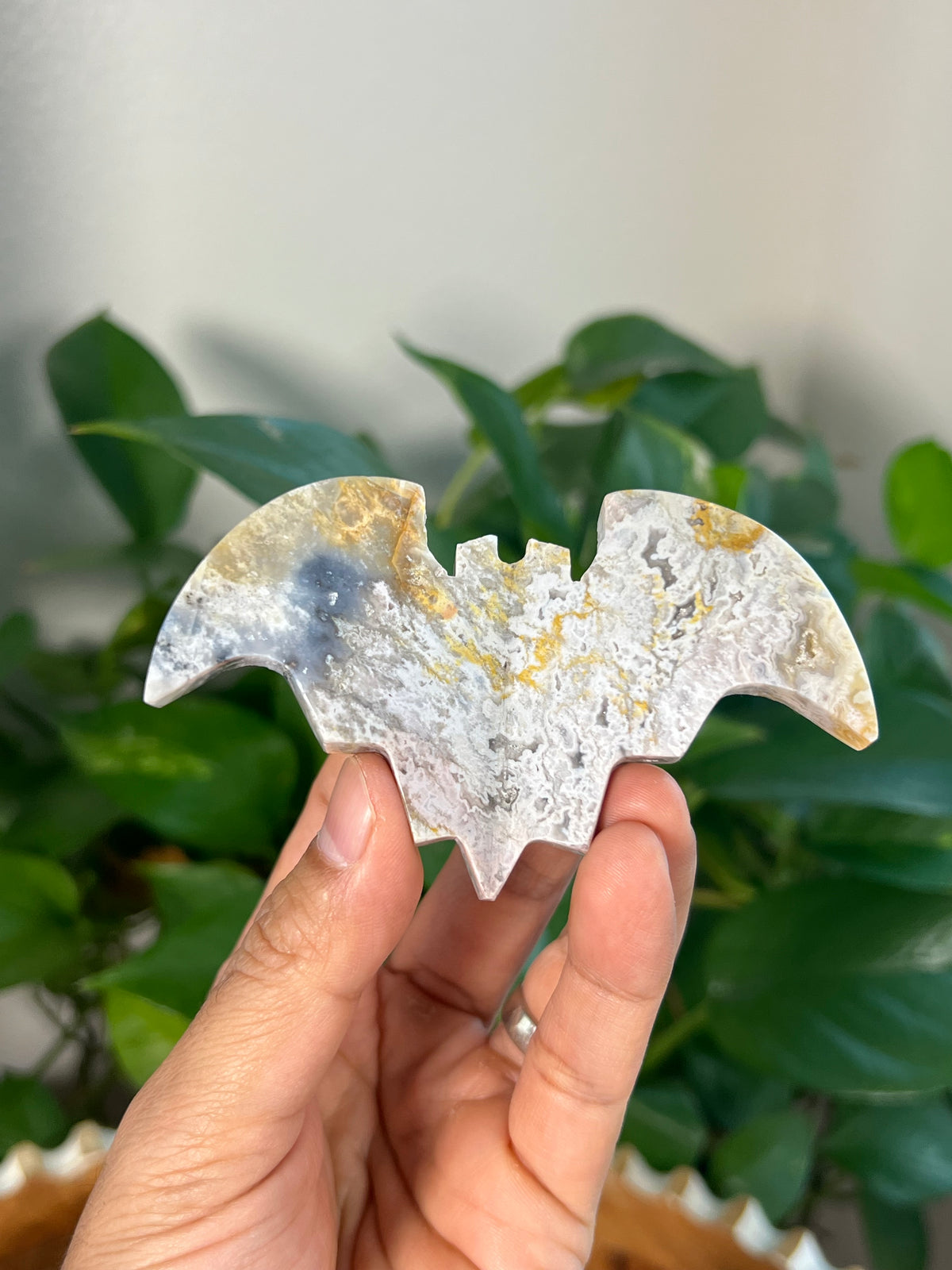 Blue Plume Agate 3D Bats