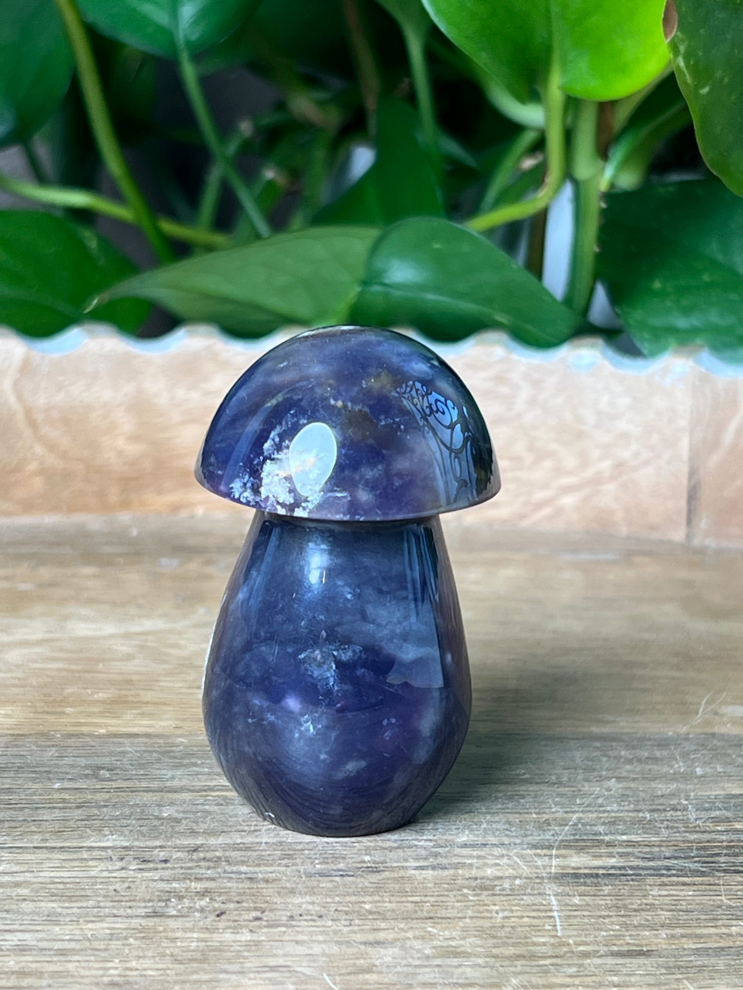 Purple Chalcedony Mushroom: BG