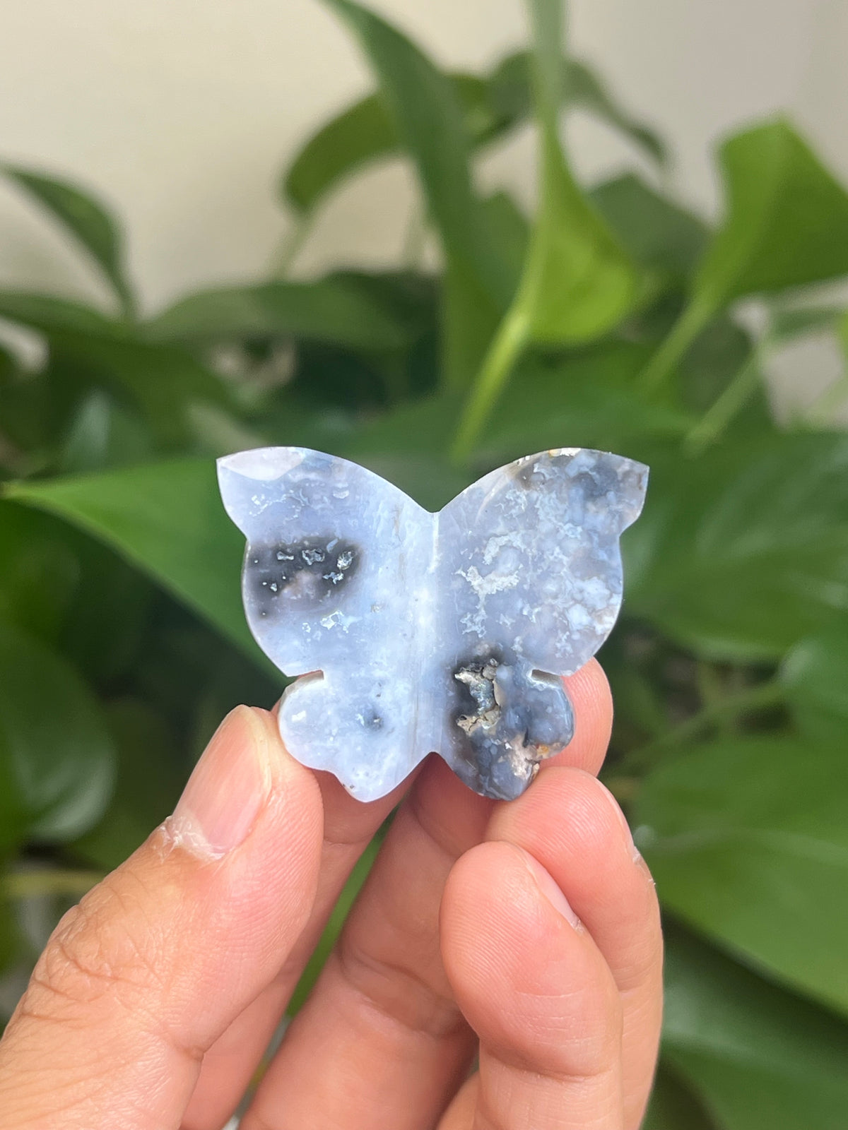 Blue Plume Agate Mini 3D Butterfly: AN