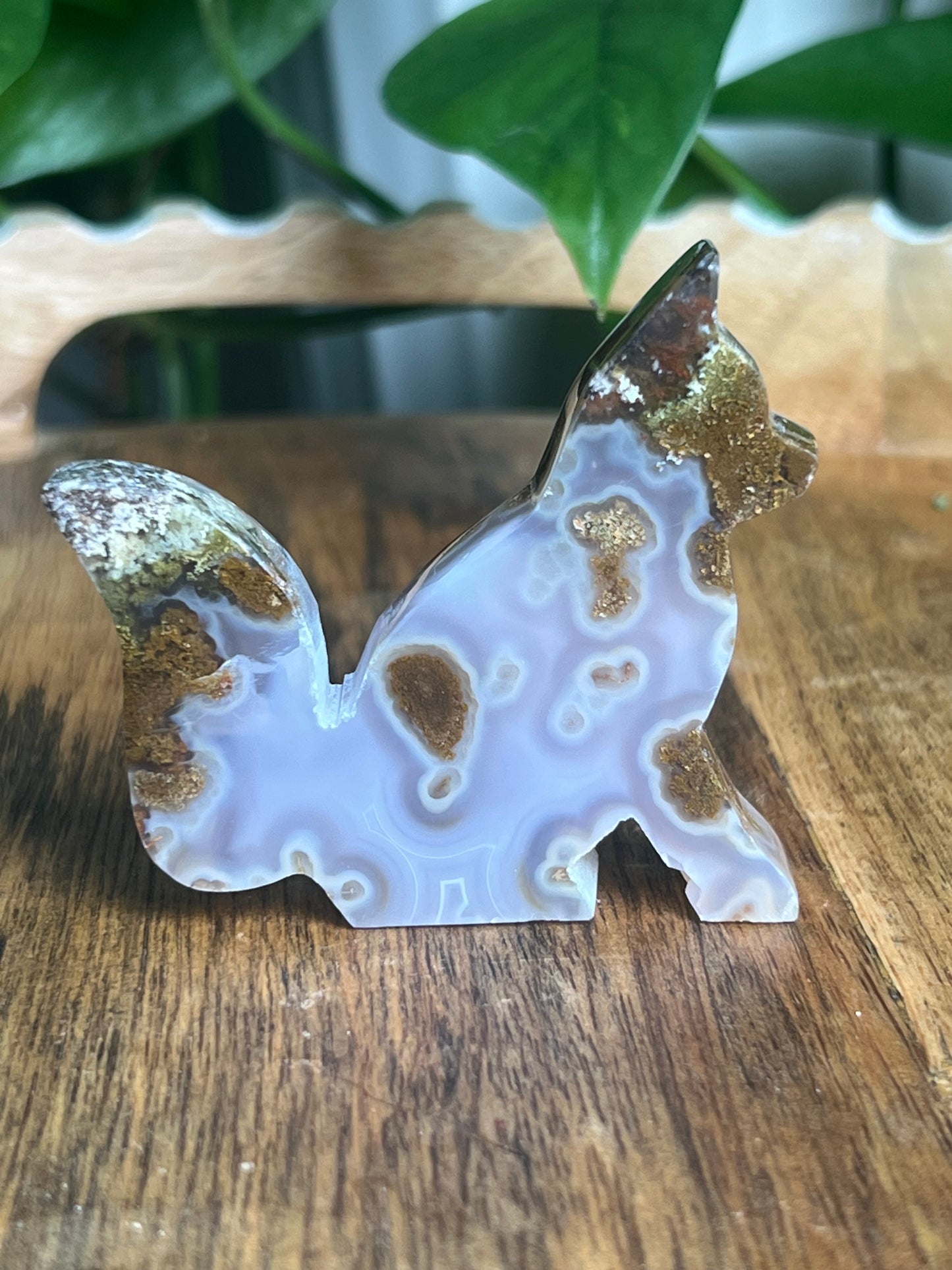 Scenic Moss Agate Fox PZ