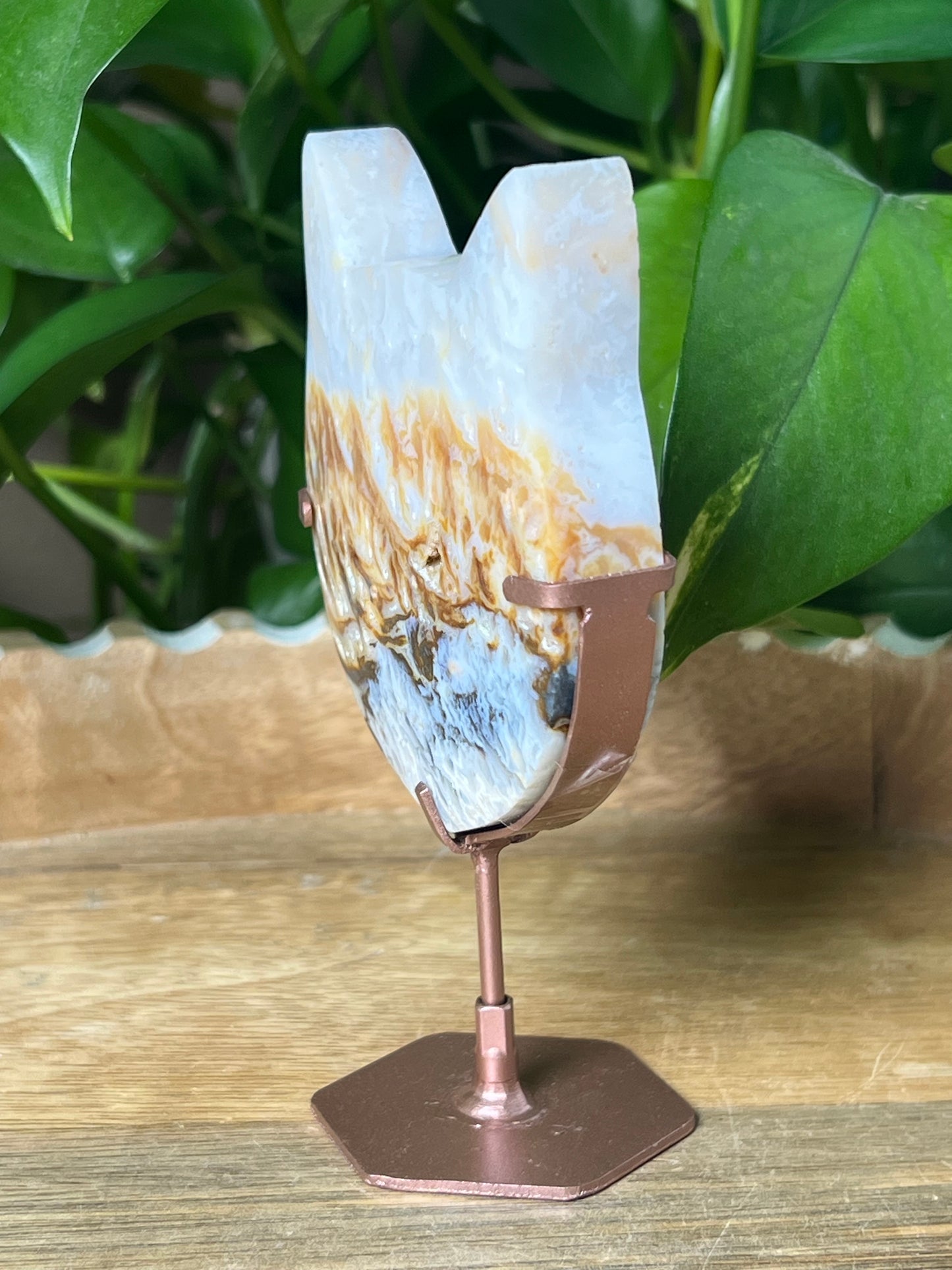 Rainbow Plume Agate Cat Head