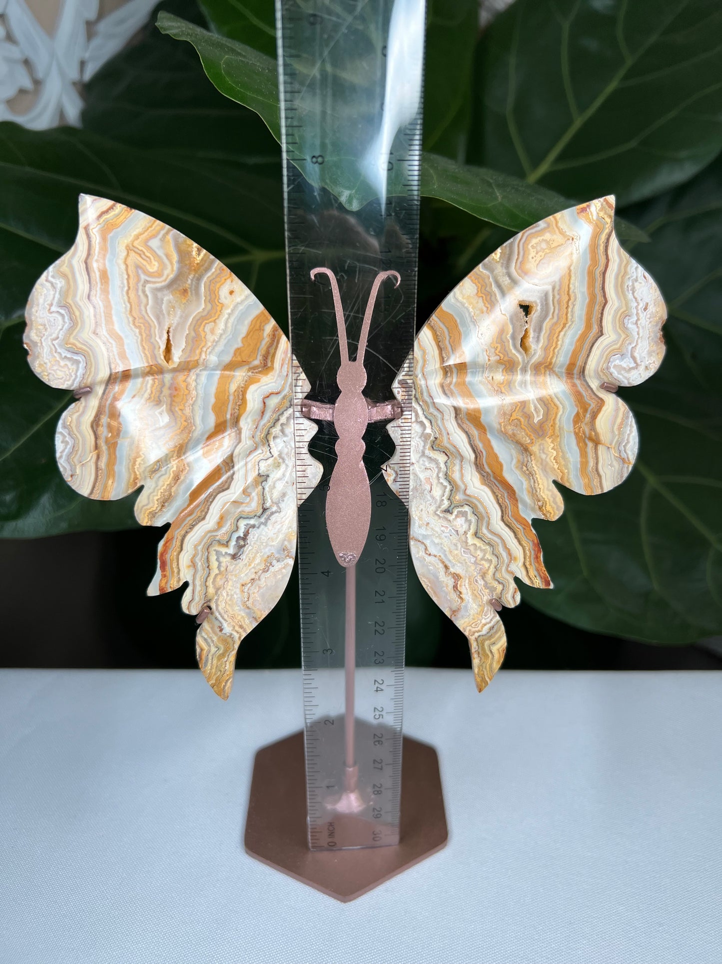 Crazy Lace Agate Wings