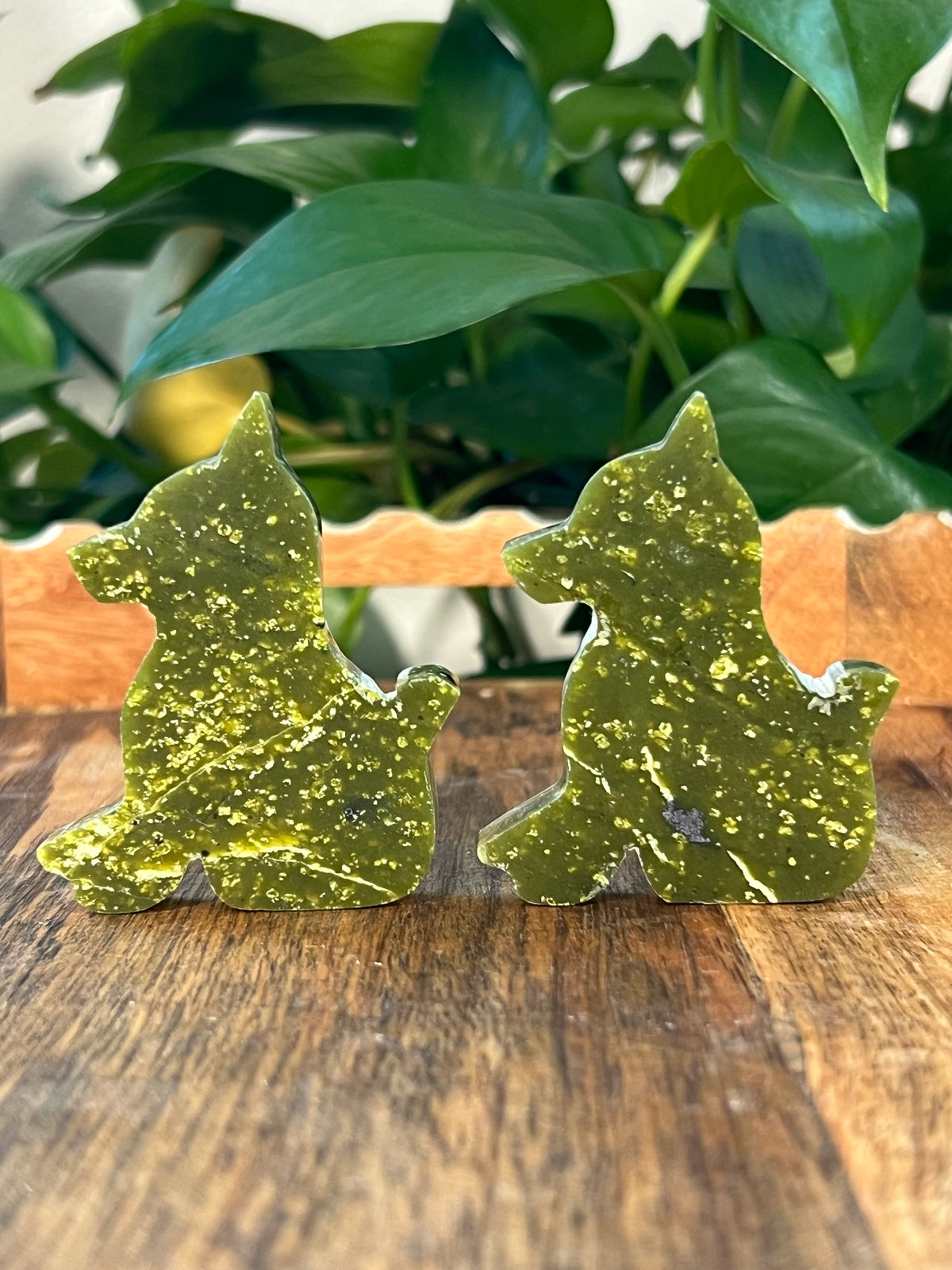 Idocrase Dogs