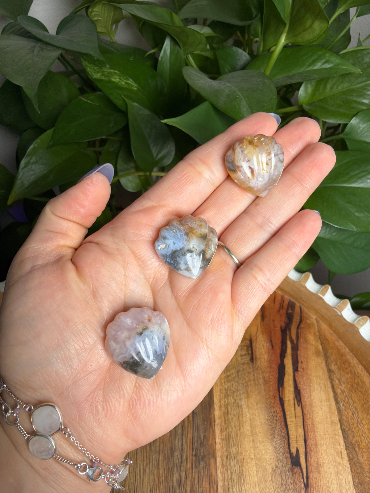 Rainbow Plume Agate Shells
